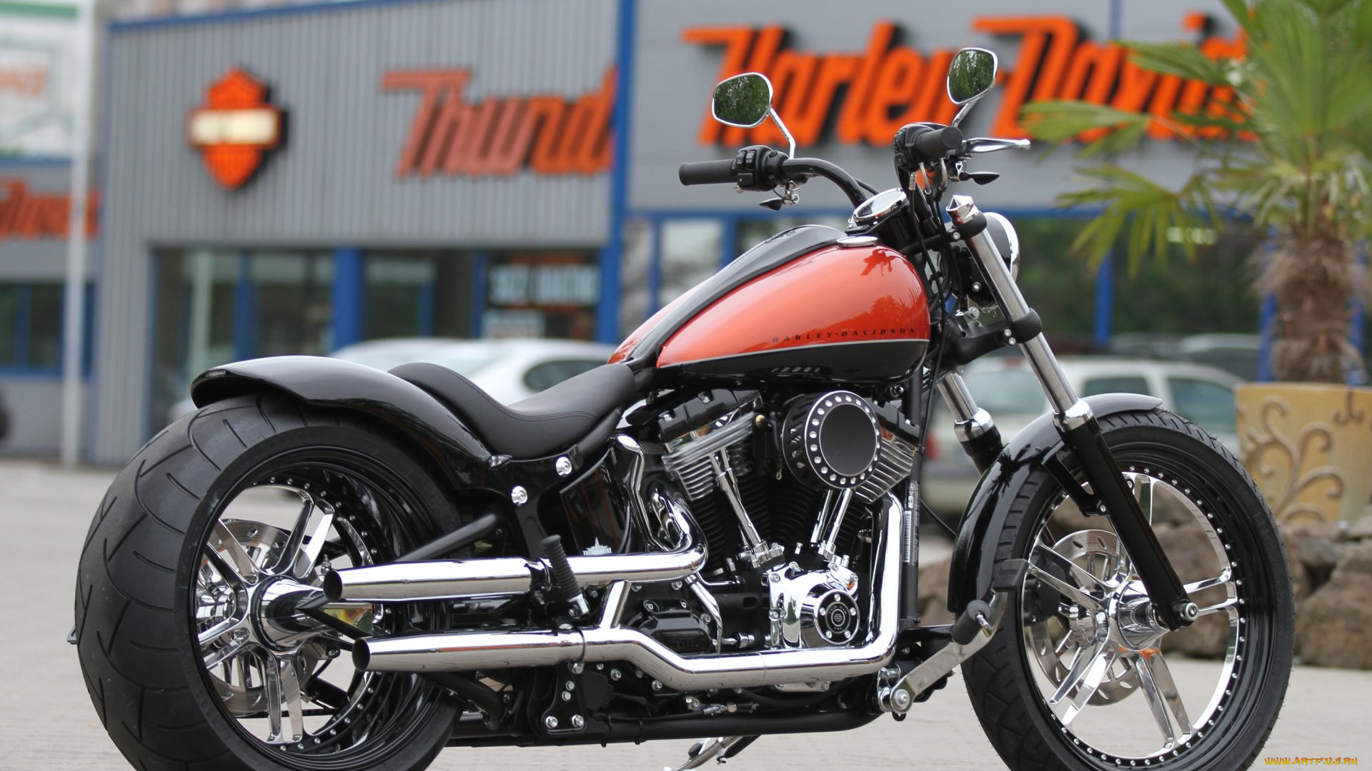 мотоциклы, customs, custom