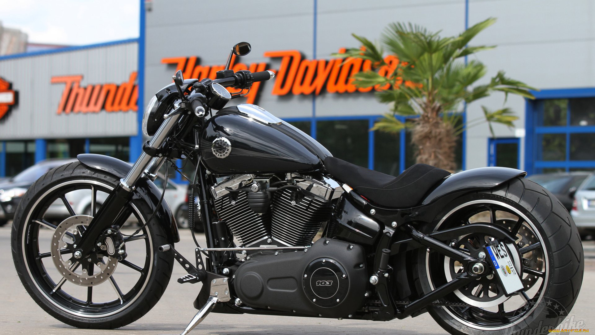 мотоциклы, customs, custom