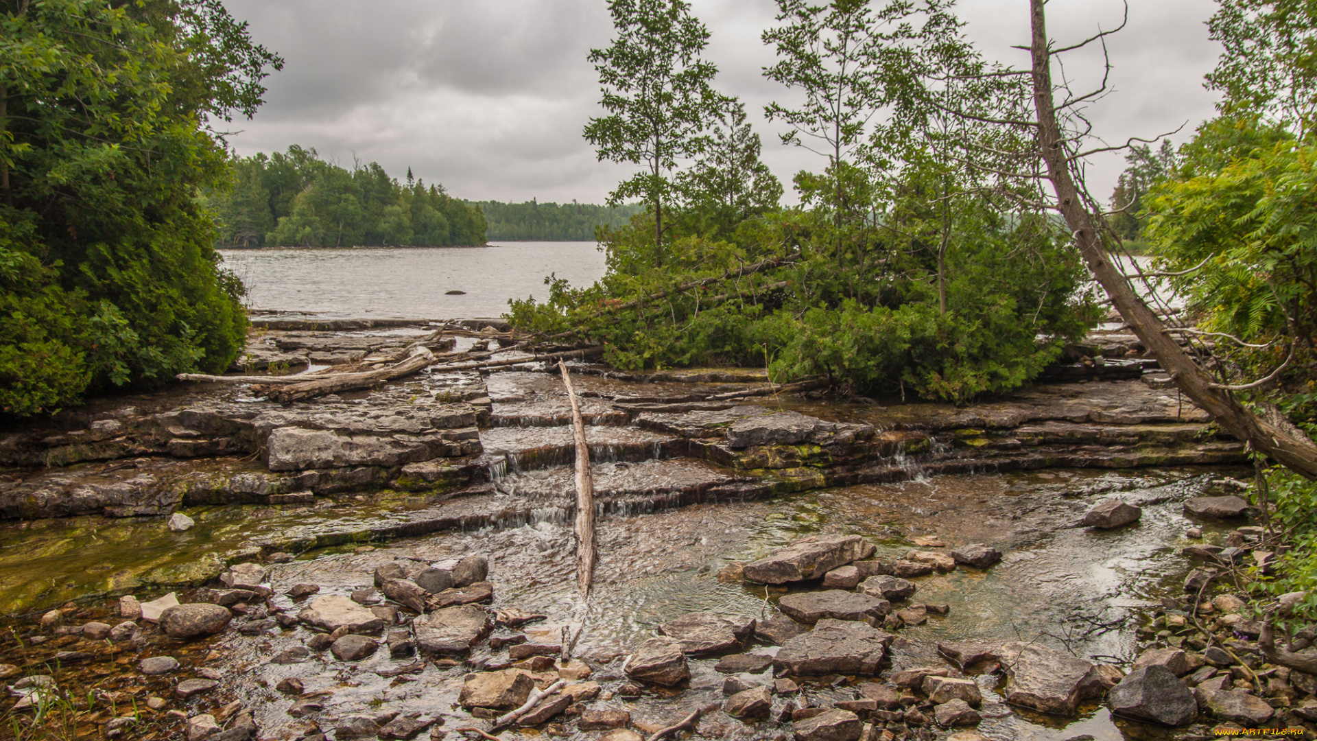 природа, реки, озера, река, лес