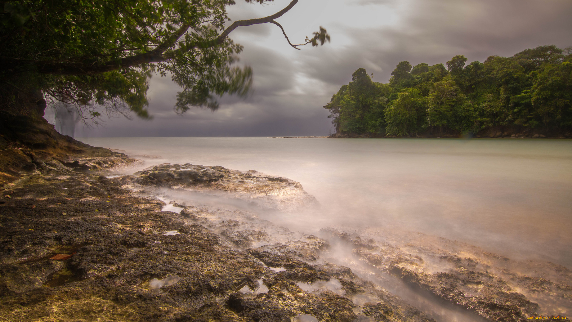 природа, реки, озера, река, лес