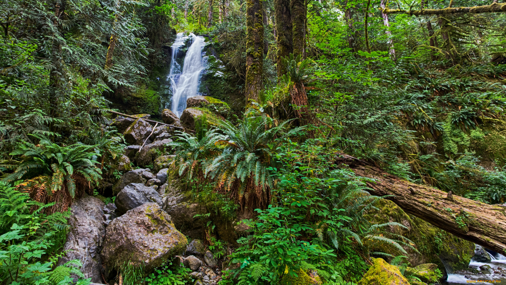 природа, водопады, лес, река, водопад