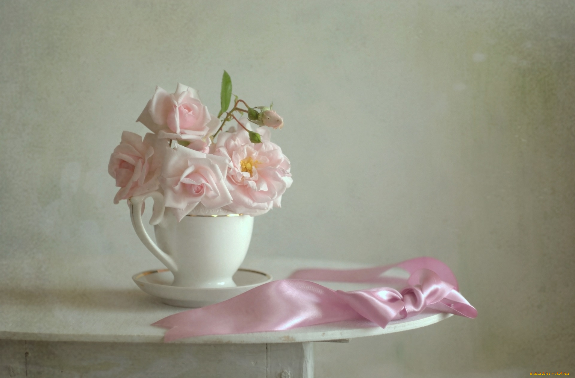 цветы, розы, blossoms, petals, leaves, bud, rose, листья, цветение, лепестки, бутон, роза