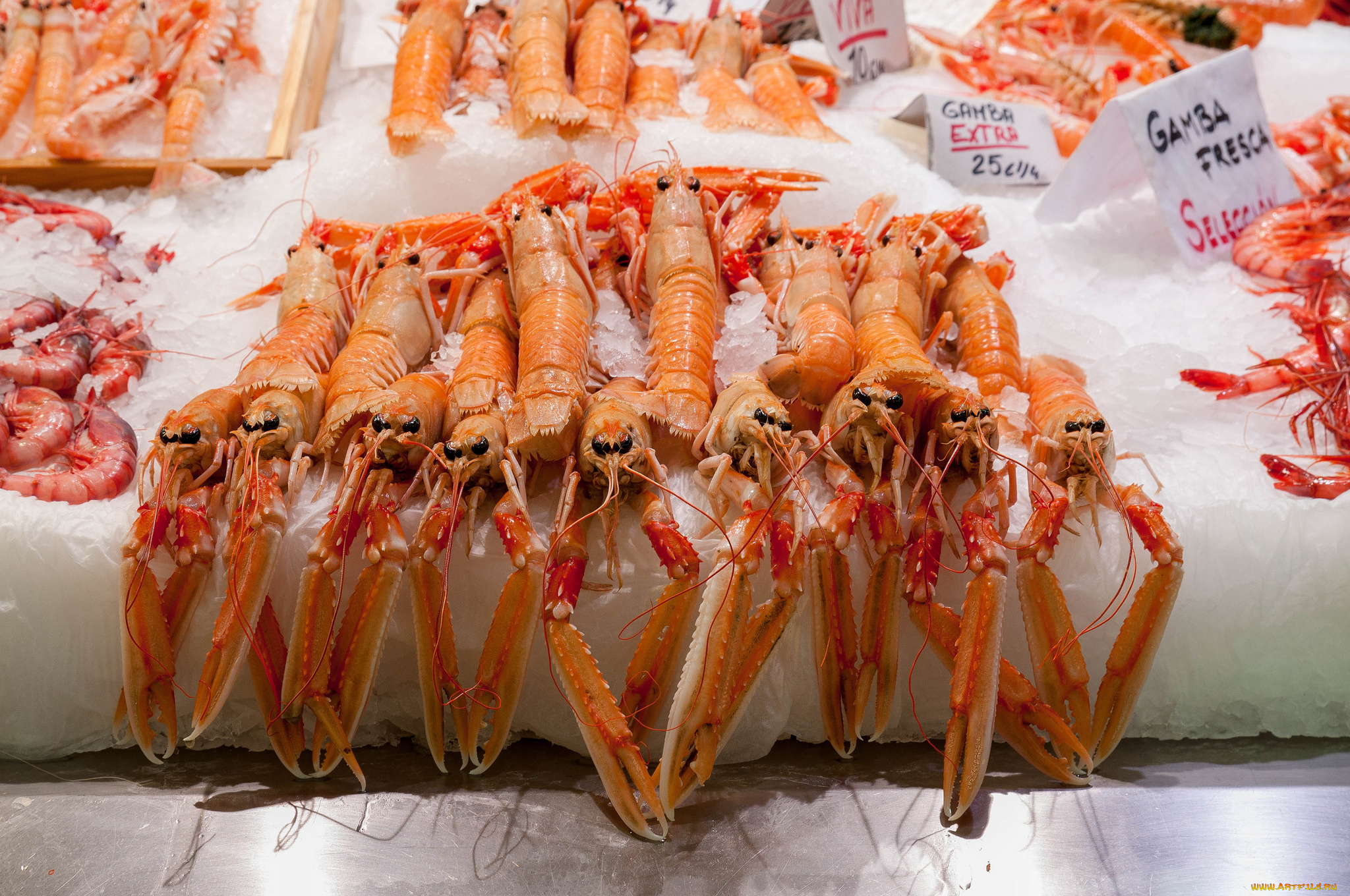 еда, рыба, , морепродукты, , суши, , роллы, деликатесы