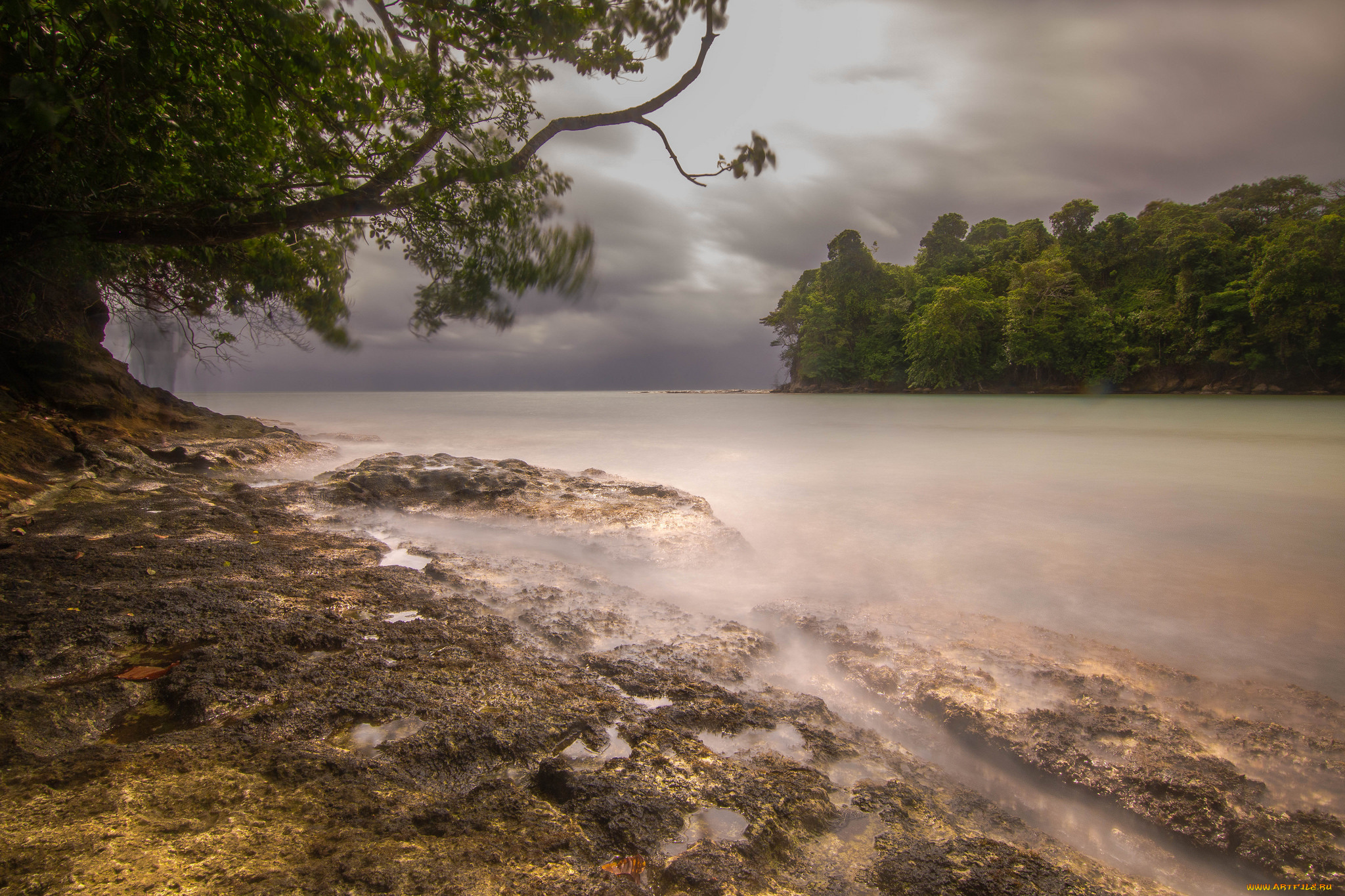 природа, реки, озера, река, лес