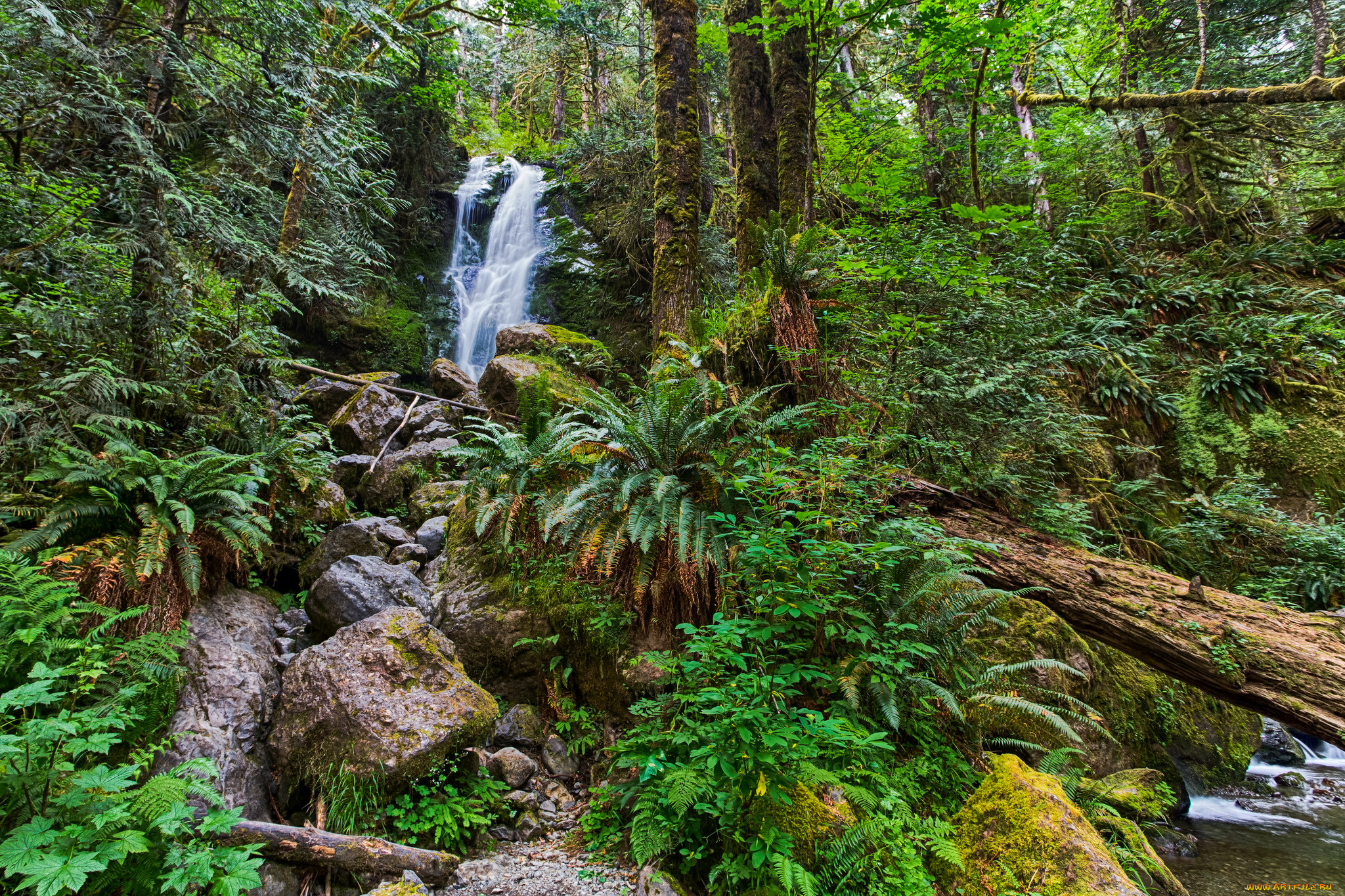 природа, водопады, лес, река, водопад