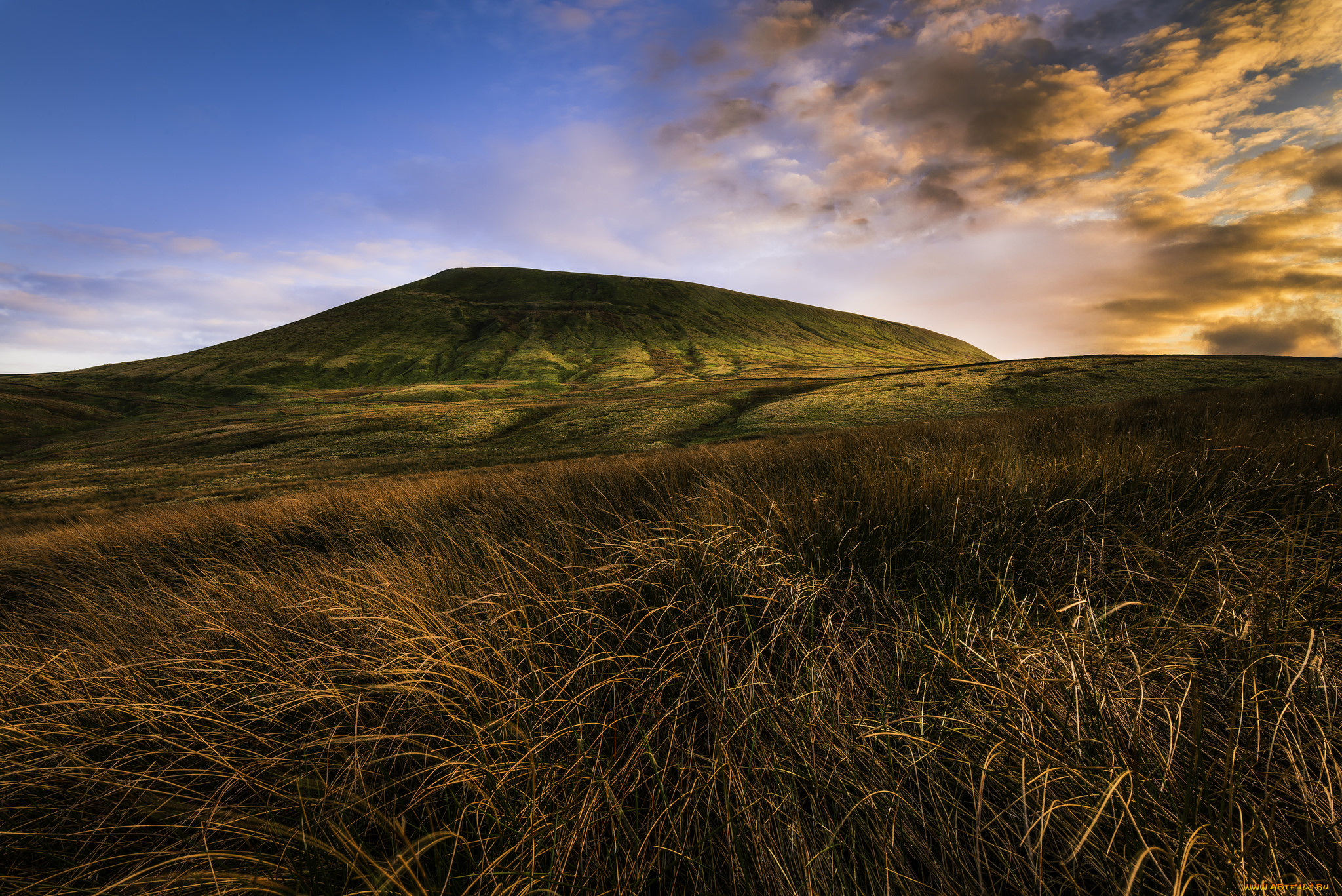 природа, пейзажи, простор