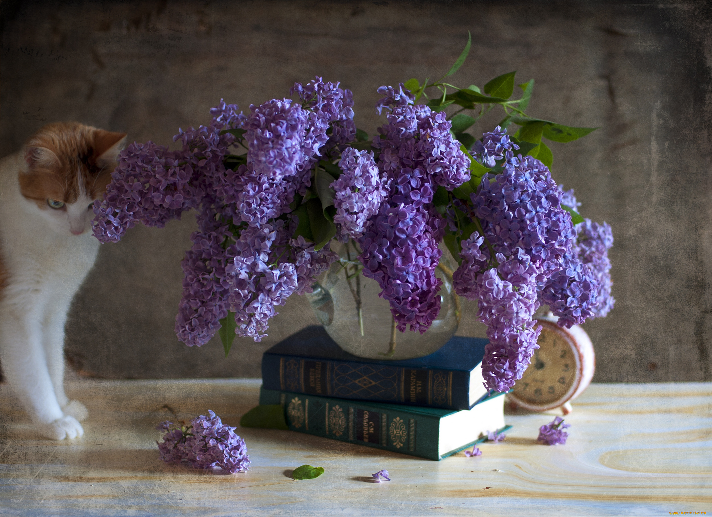 цветы, сирень, киса, ваза, букет, книга