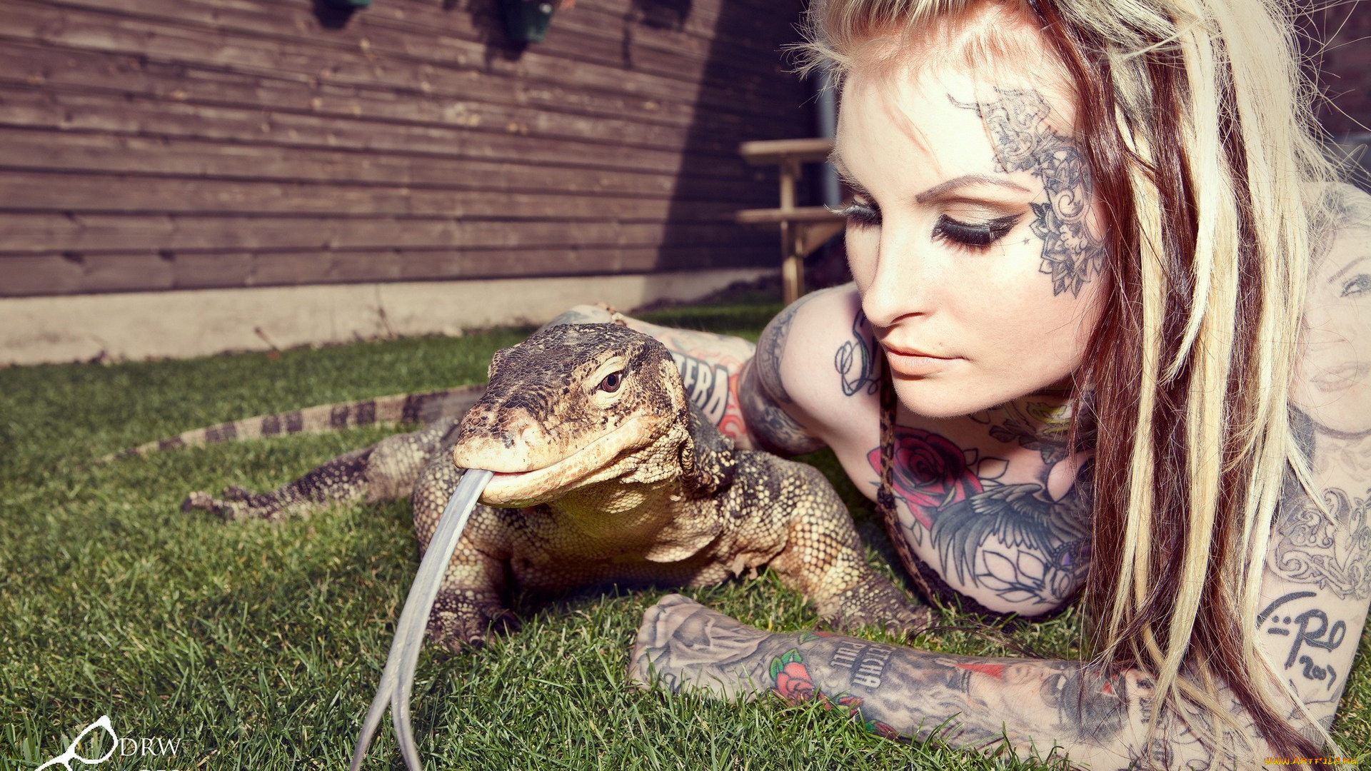 девушки, lusy, logan, трава, игуана, тату, блондинка, lusy, logan