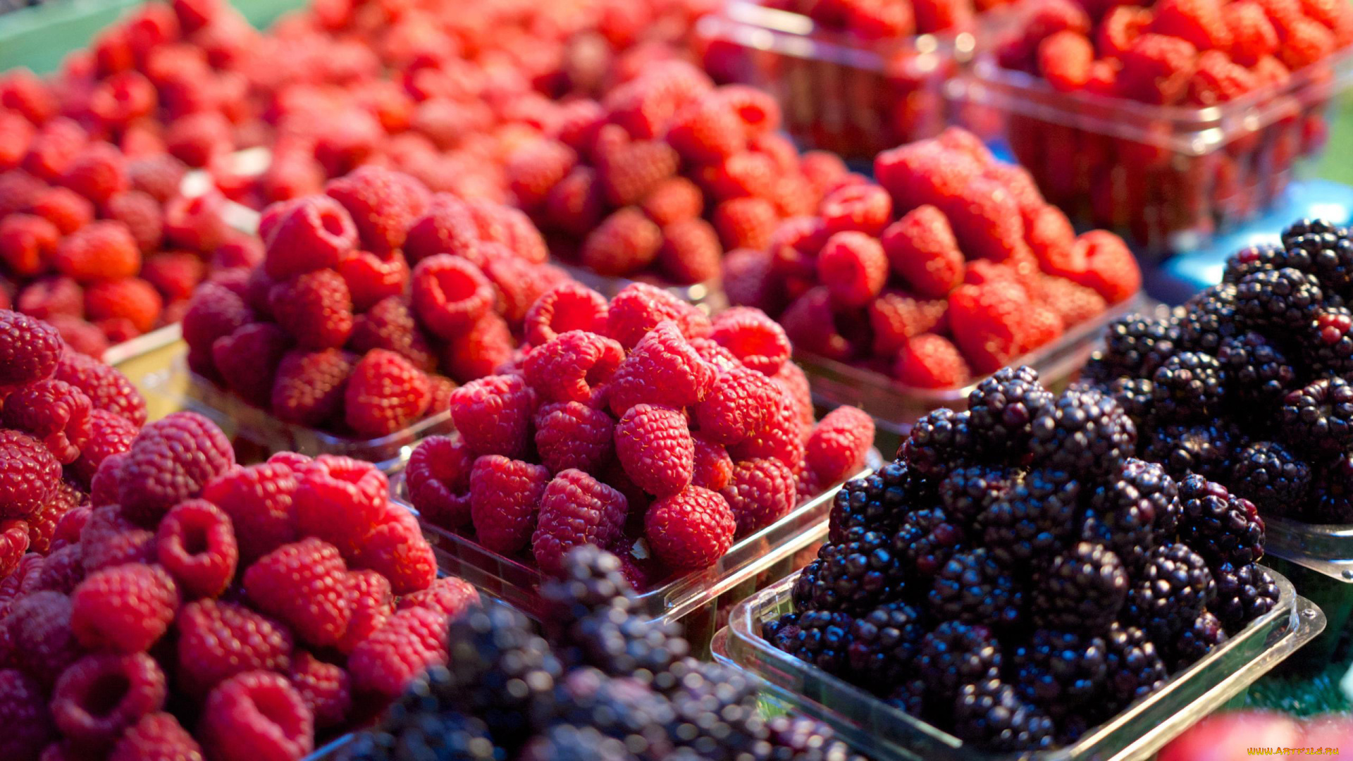 еда, фрукты, , ягоды, ежевика, малина, ягоды