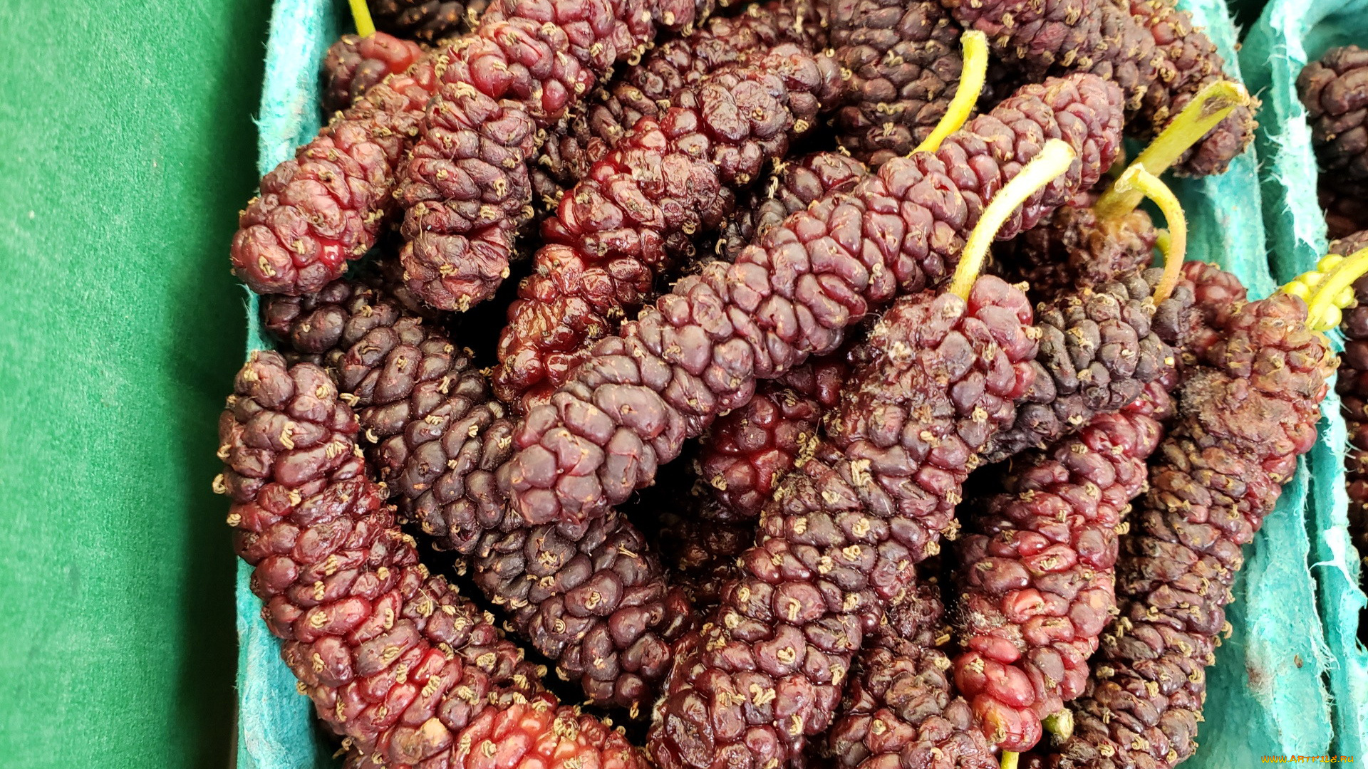 еда, фрукты, , ягоды, шелковица