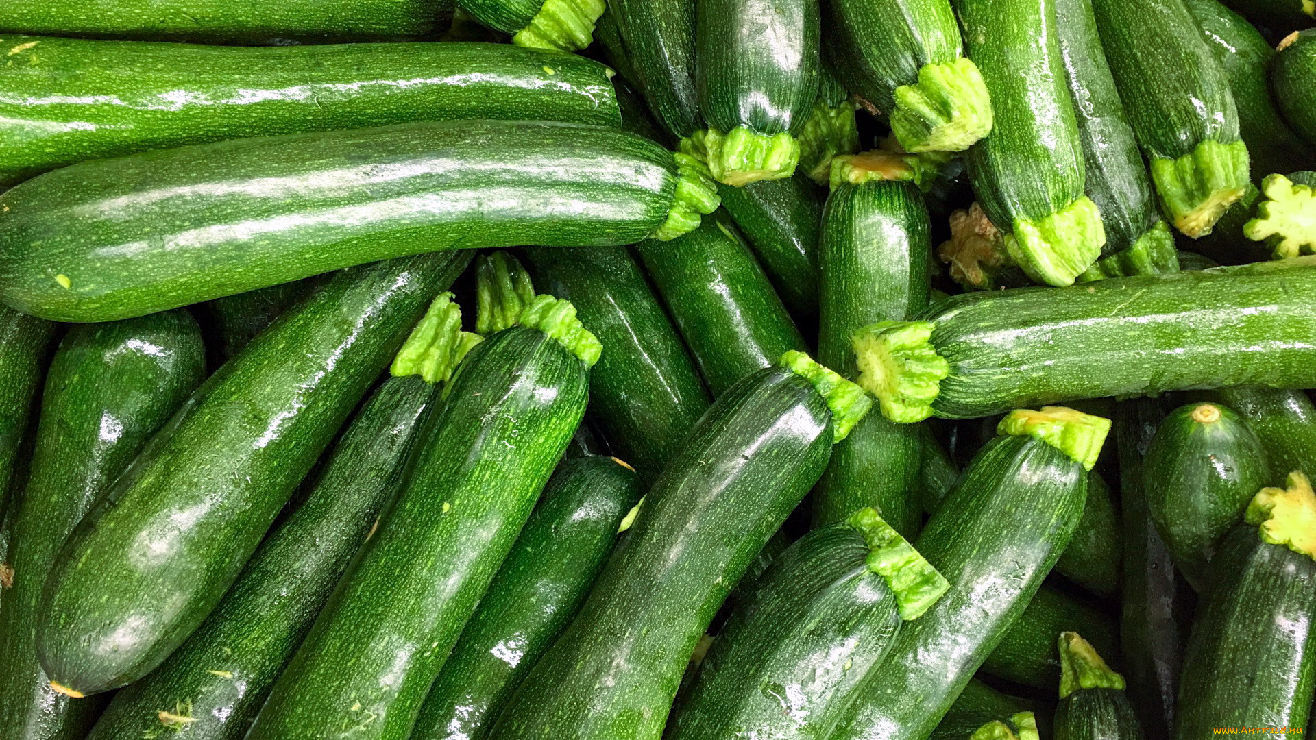 еда, кабачки, , цуккини, , патиссоны, цуккини