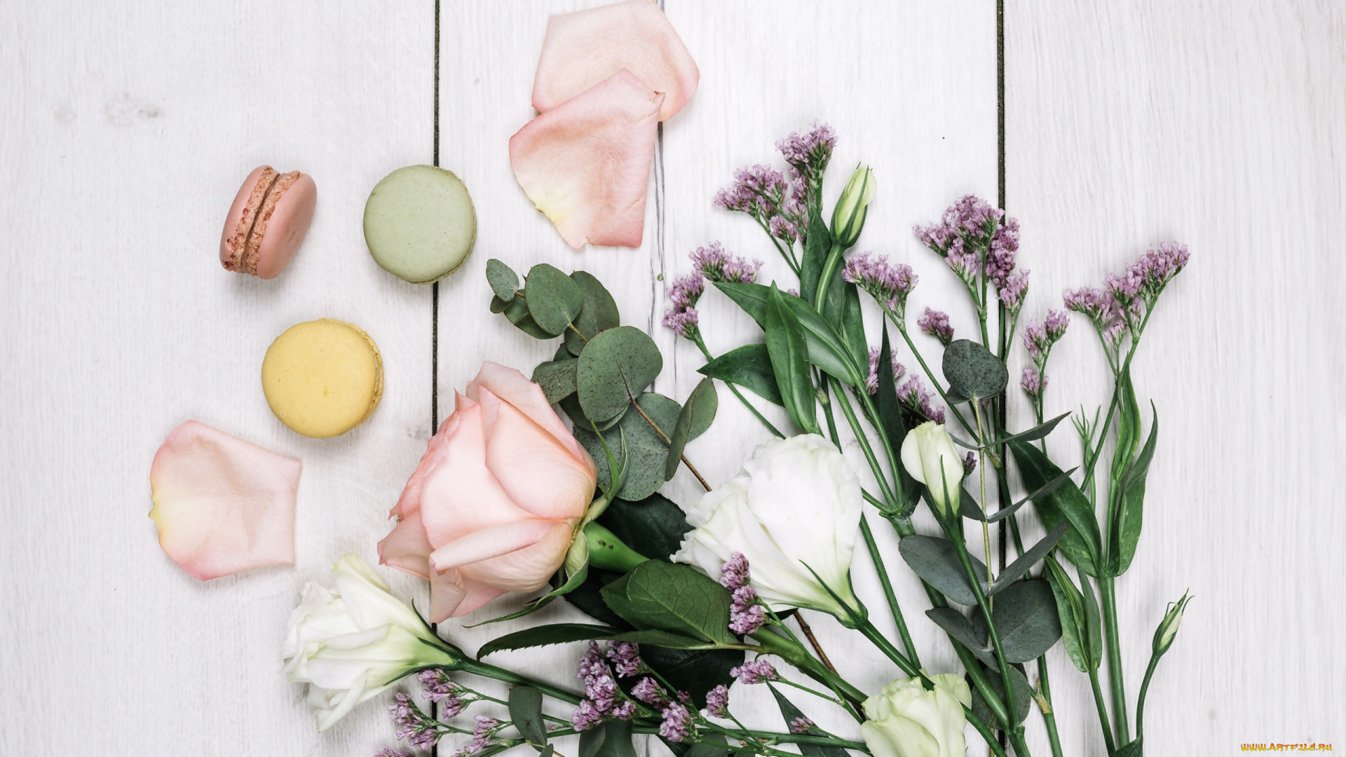еда, макаруны, лепестки, лакомство