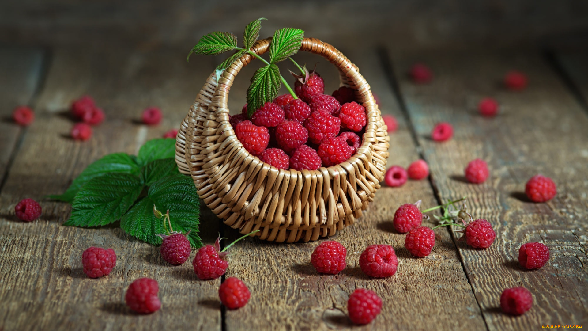 еда, малина