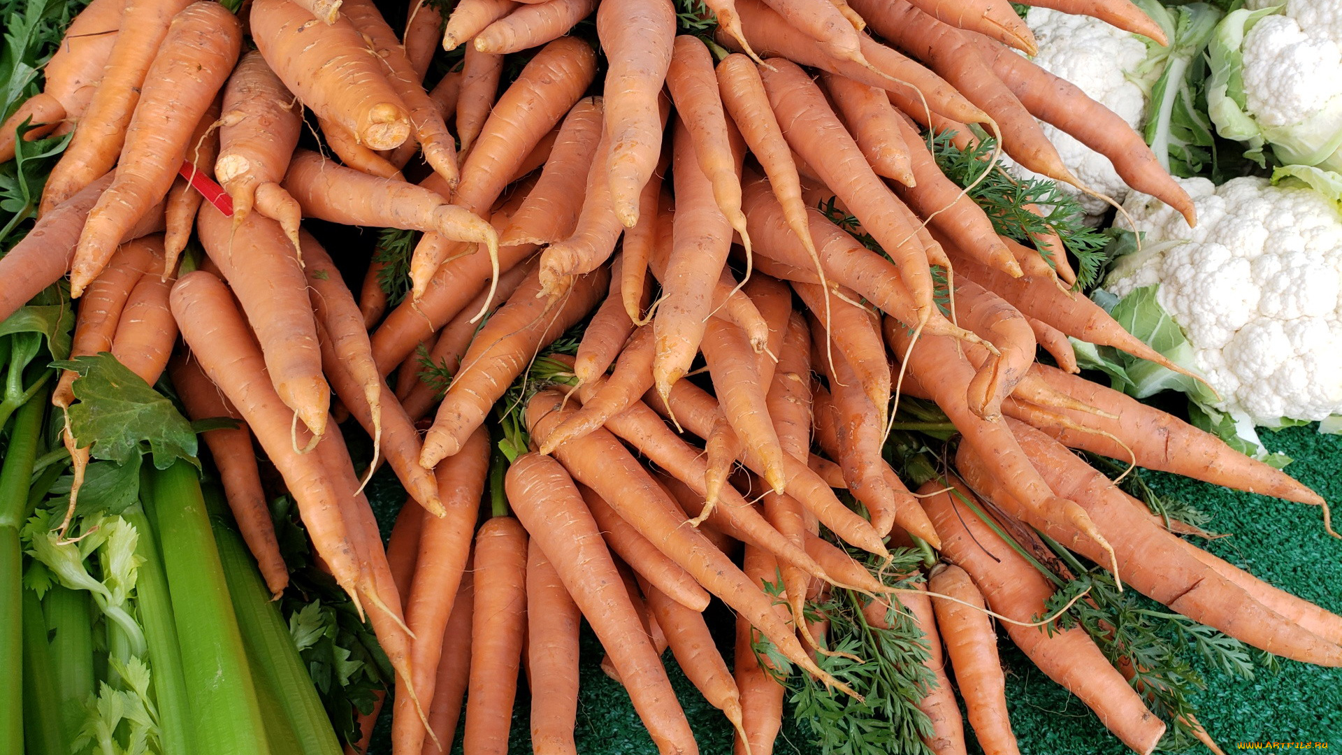 еда, морковь, корнеплоды