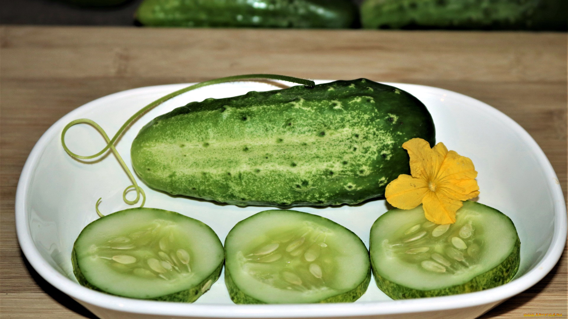 еда, огурцы, огурец, свежий