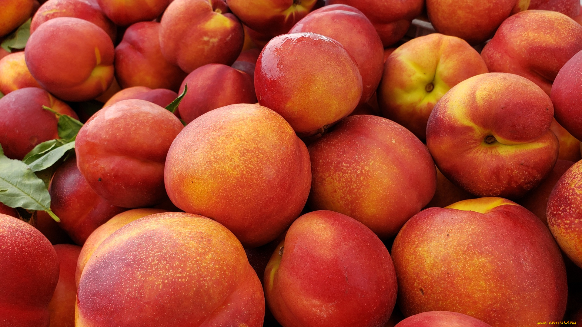 еда, персики, , сливы, , абрикосы, нектарины