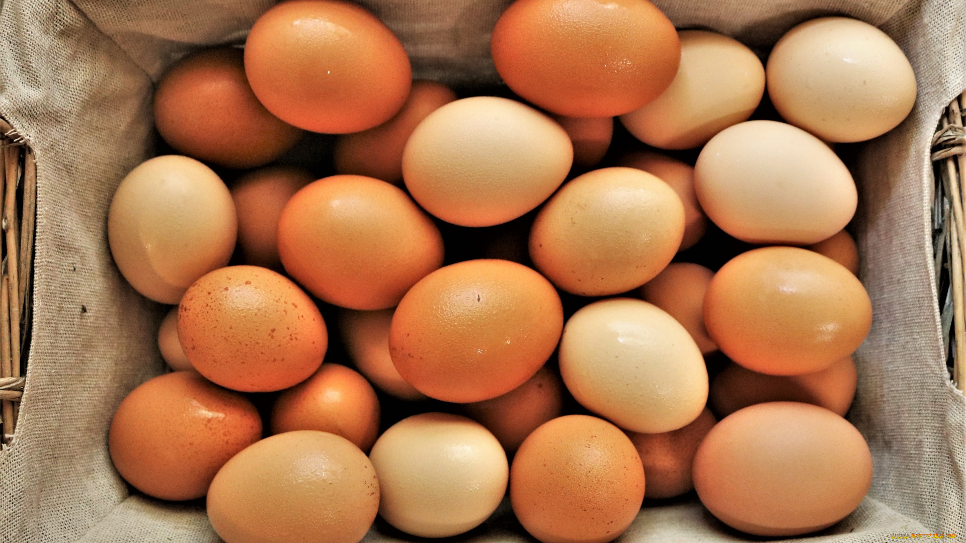 еда, яйца, свежие