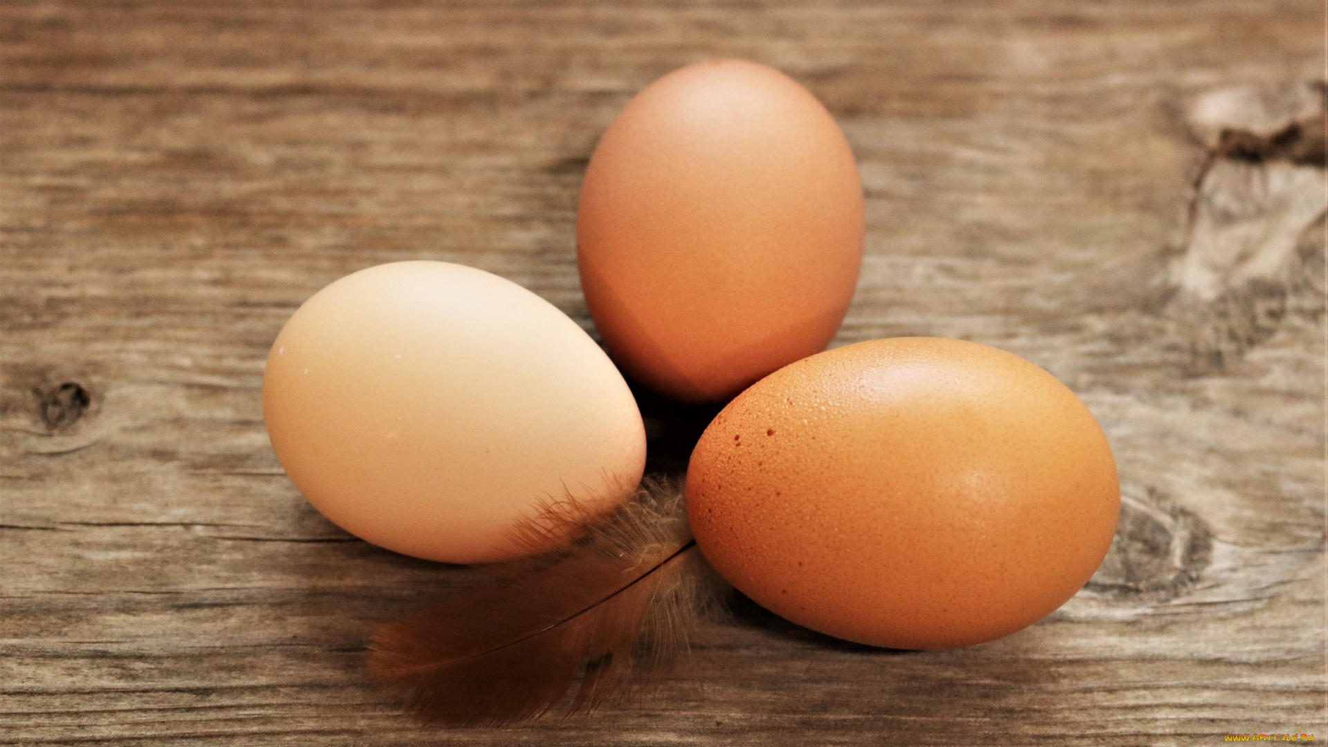 еда, яйца, свежие