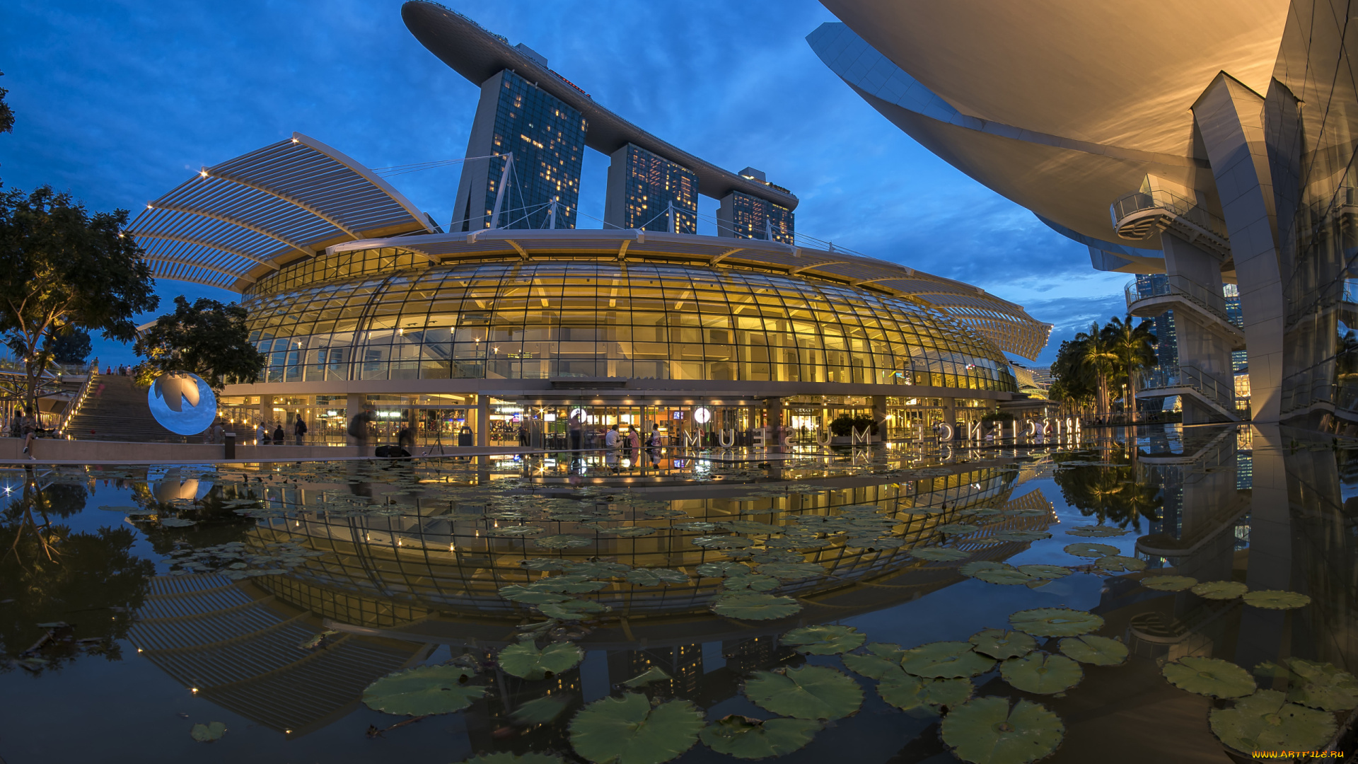 города, сингапур, , сингапур, здания, листья, пруд