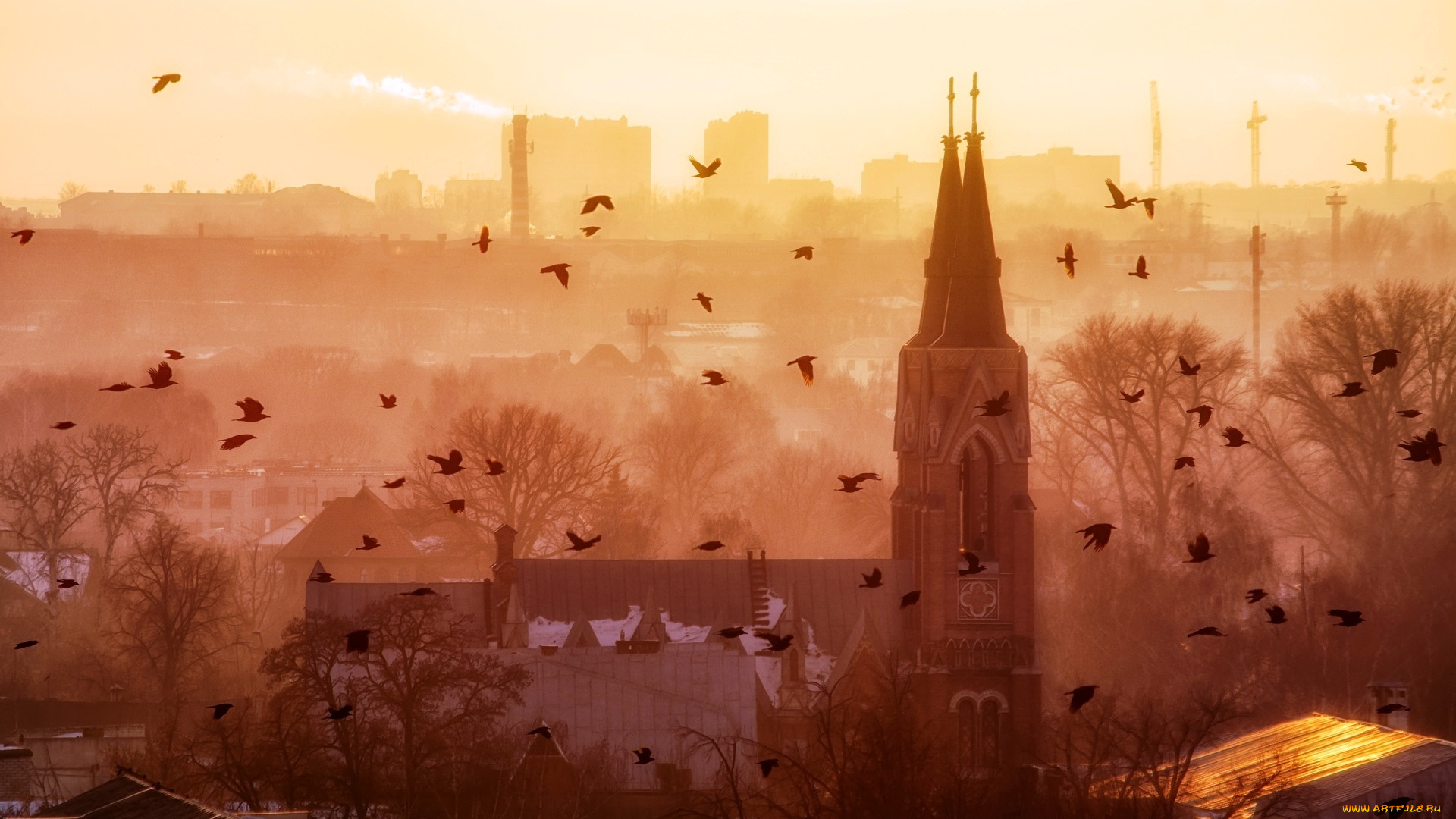 храм, воздвижения, святого, креста, , тамбов, города, -, православные, церкви, , монастыри, город, стая, птицы, храм