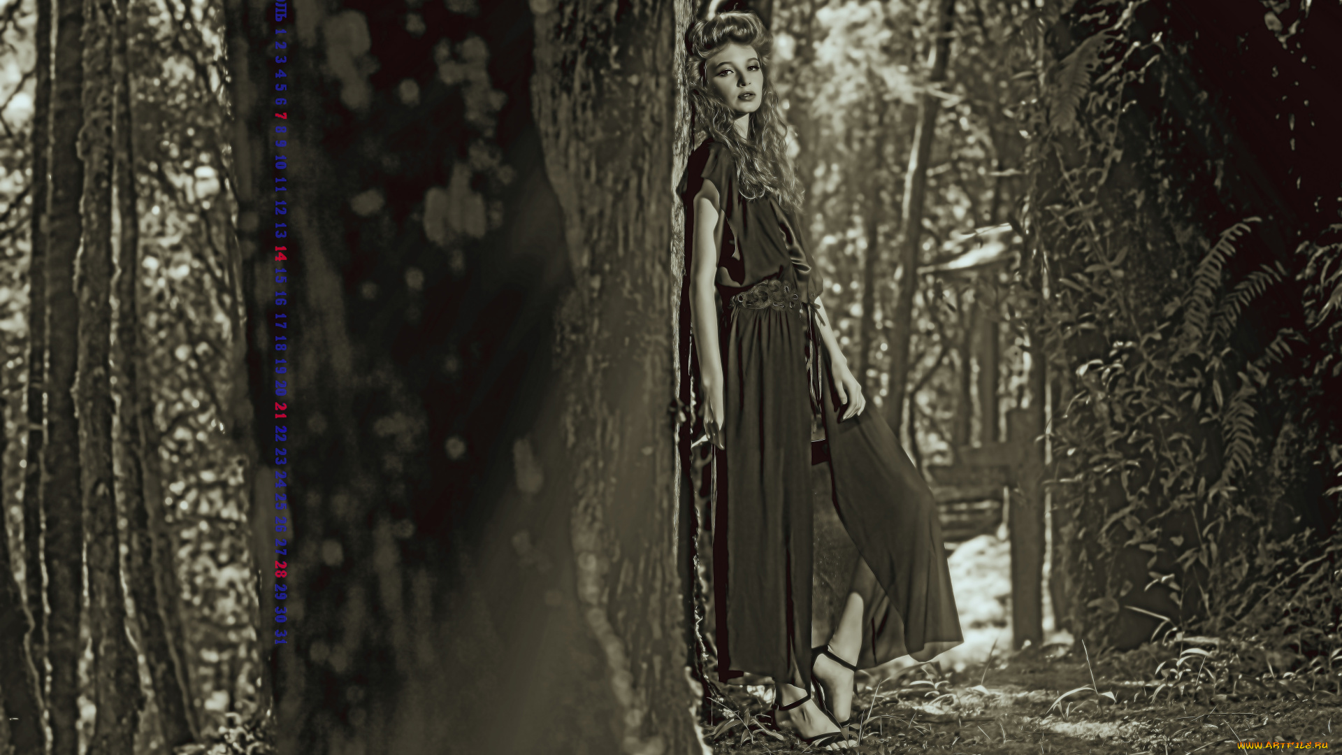 календари, компьютерный, дизайн, 2019, calendar, женщина, природа, дерево, девушка, растение