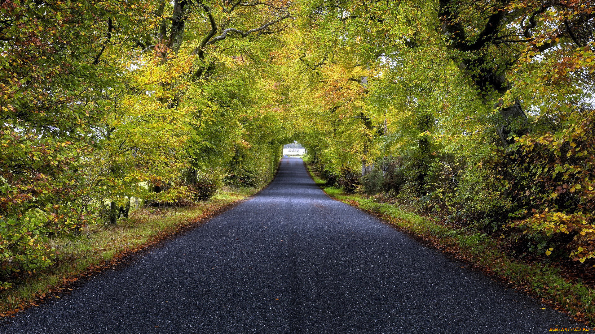 природа, дороги, шоссе