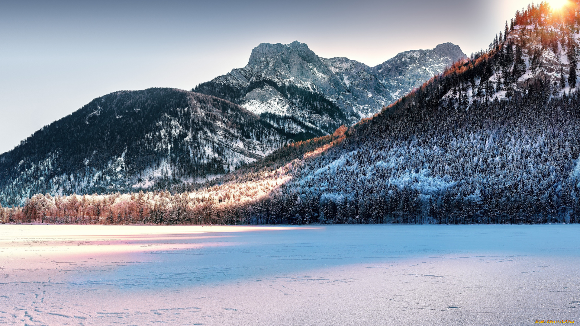 природа, горы, снег, лес, деревья, зима, лед