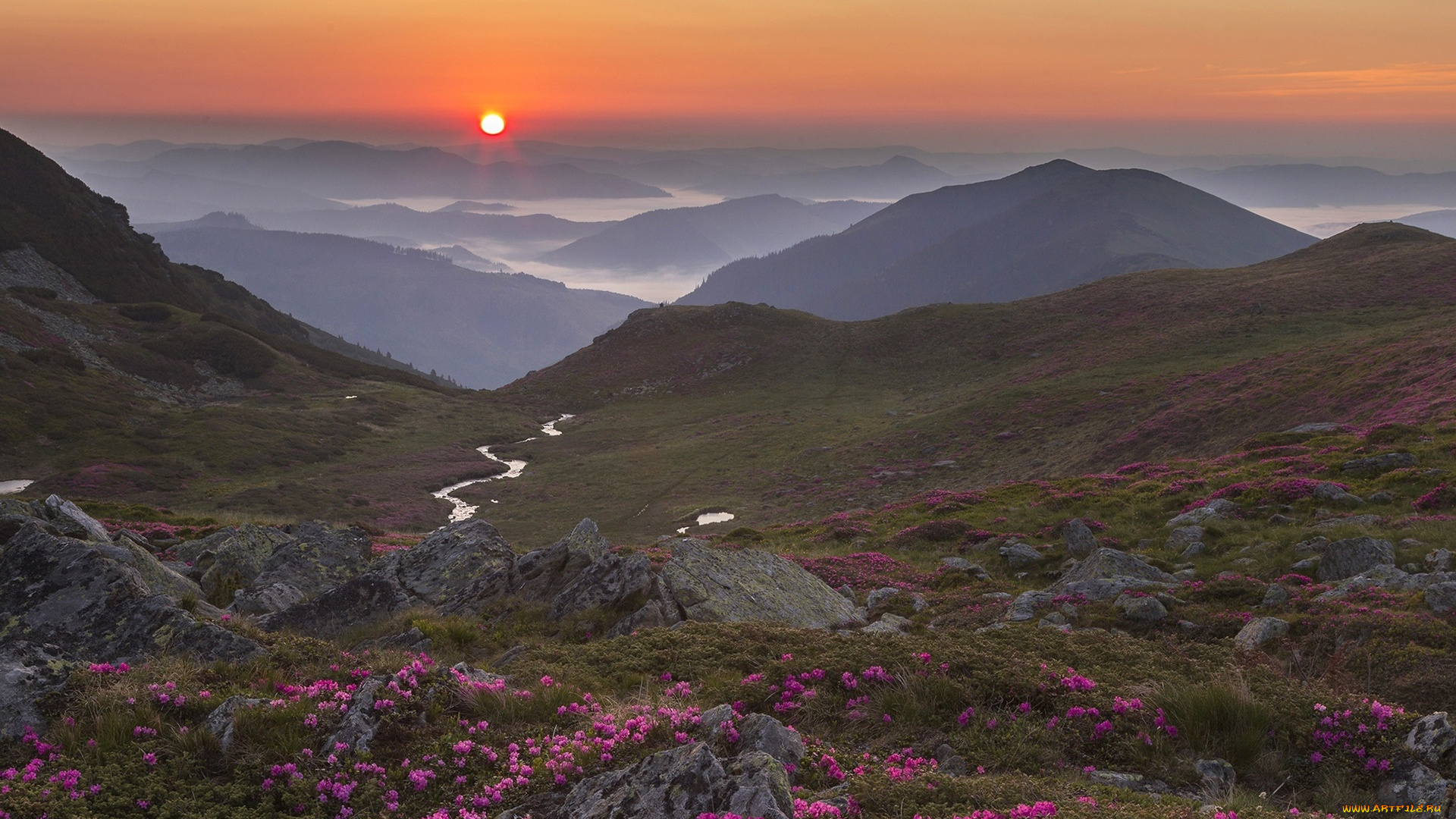 природа, пейзажи, румыния, луга, утро, рассвет, туман, ручей, камни