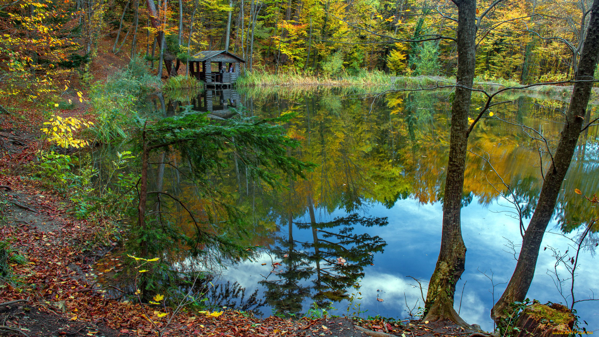 природа, реки, озера, листопад, осень