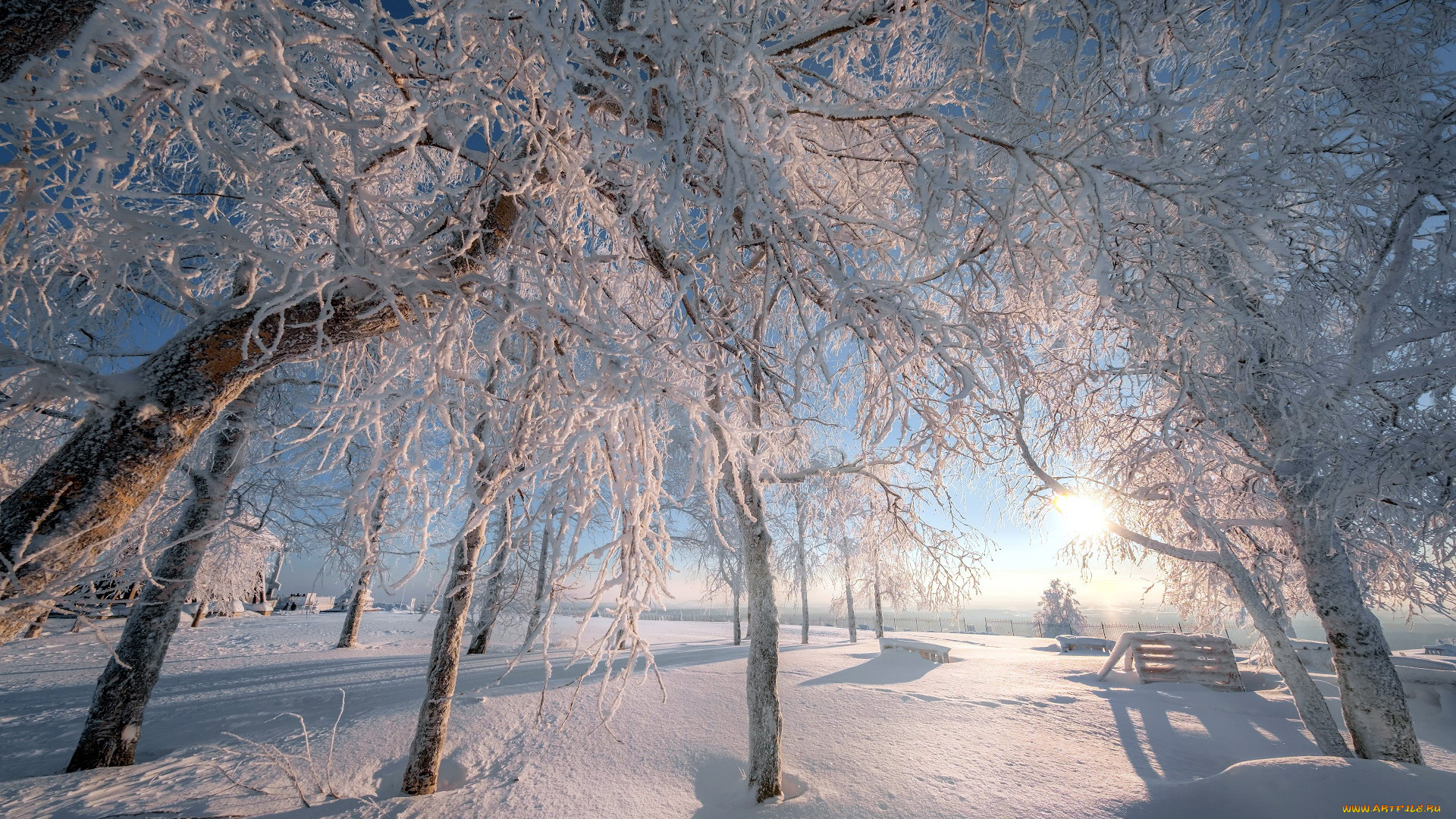 природа, зима, деревья, снег