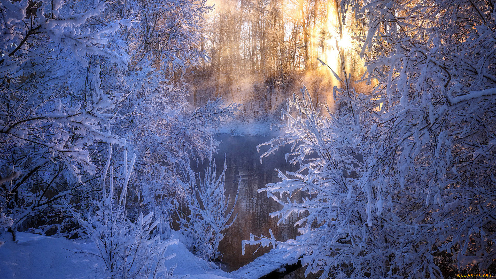 природа, зима, иней, снег