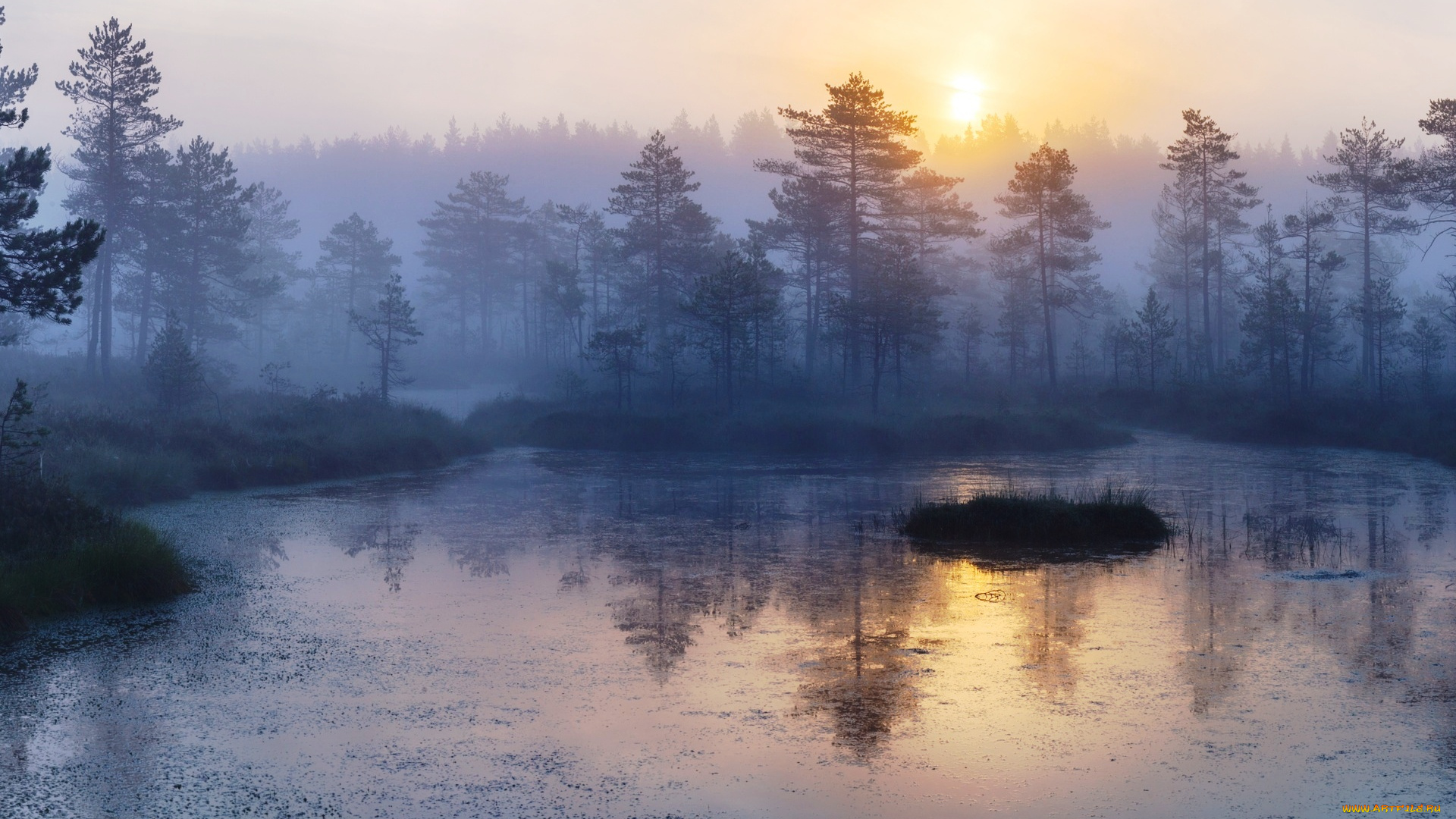 выборгский, район, ленинградской, области, природа, реки, озера, лес, туман, озеро