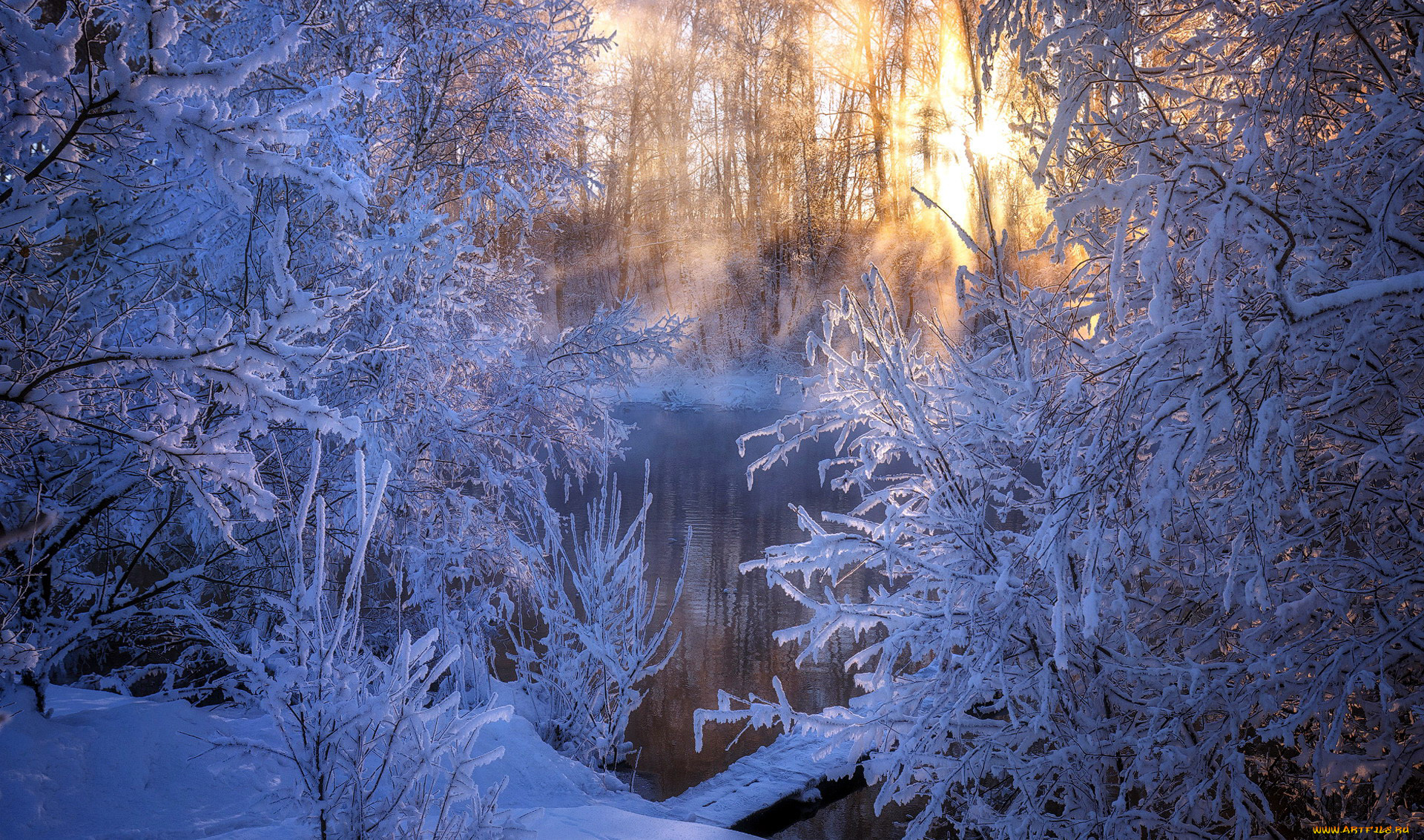 природа, зима, иней, снег