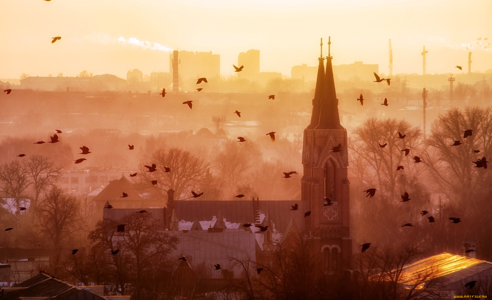 храм, воздвижения, святого, креста, , тамбов, города, -, православные, церкви, , монастыри, город, стая, птицы, храм