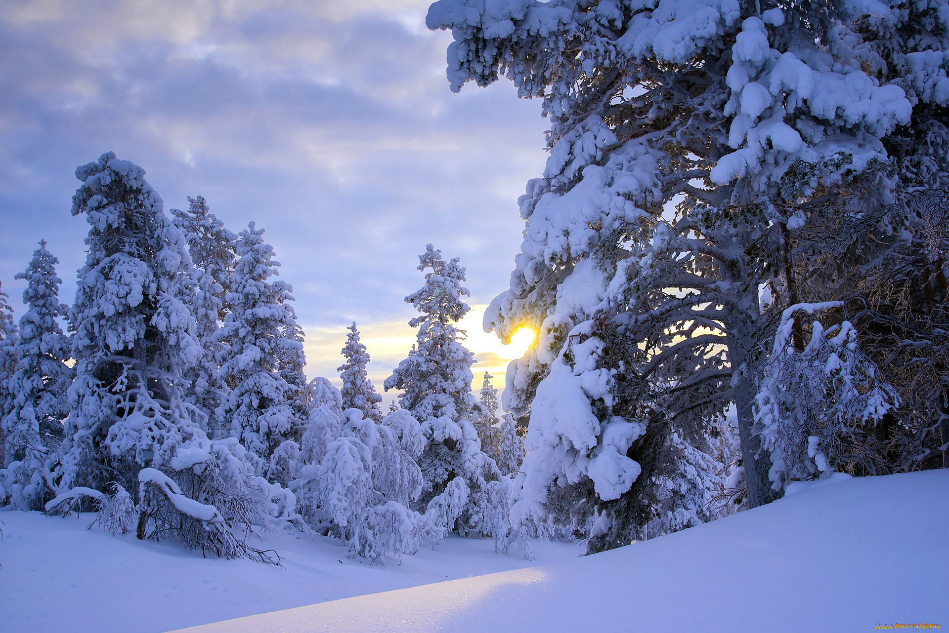 природа, зима, снег