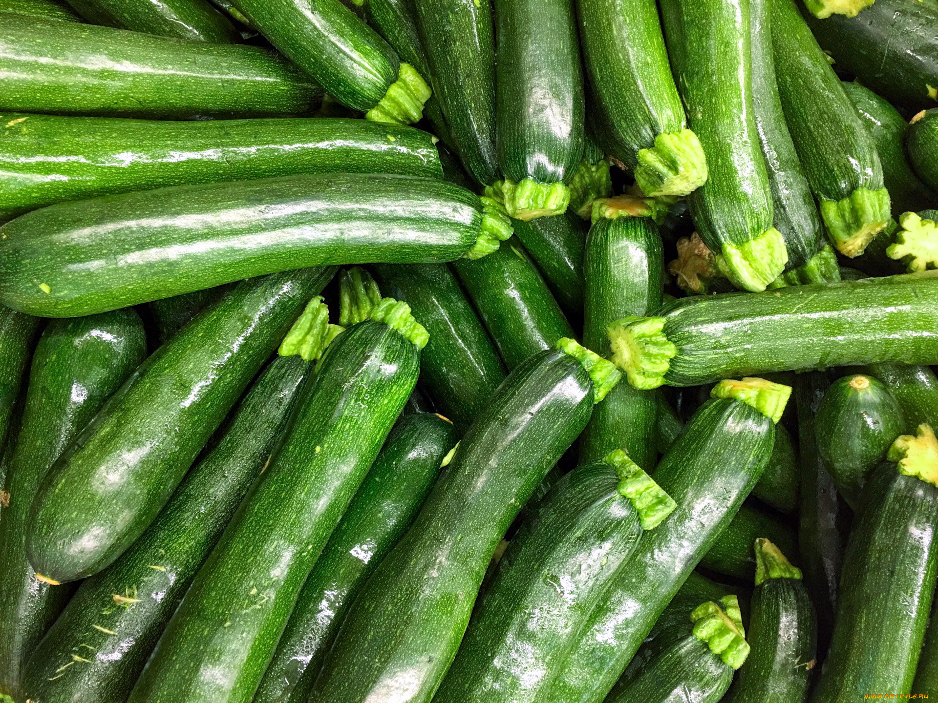 еда, кабачки, , цуккини, , патиссоны, цуккини