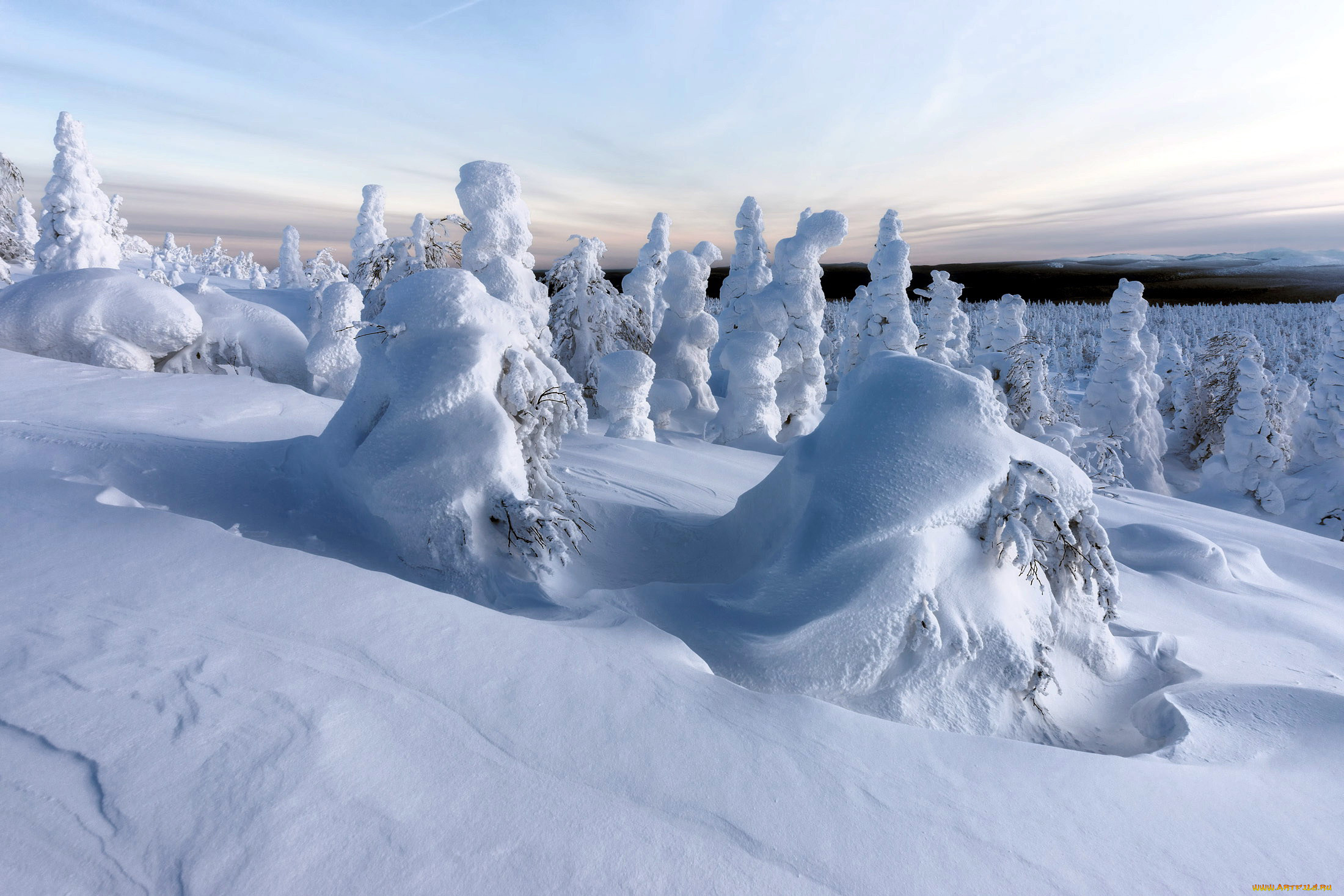 природа, зима, сугробы, снег