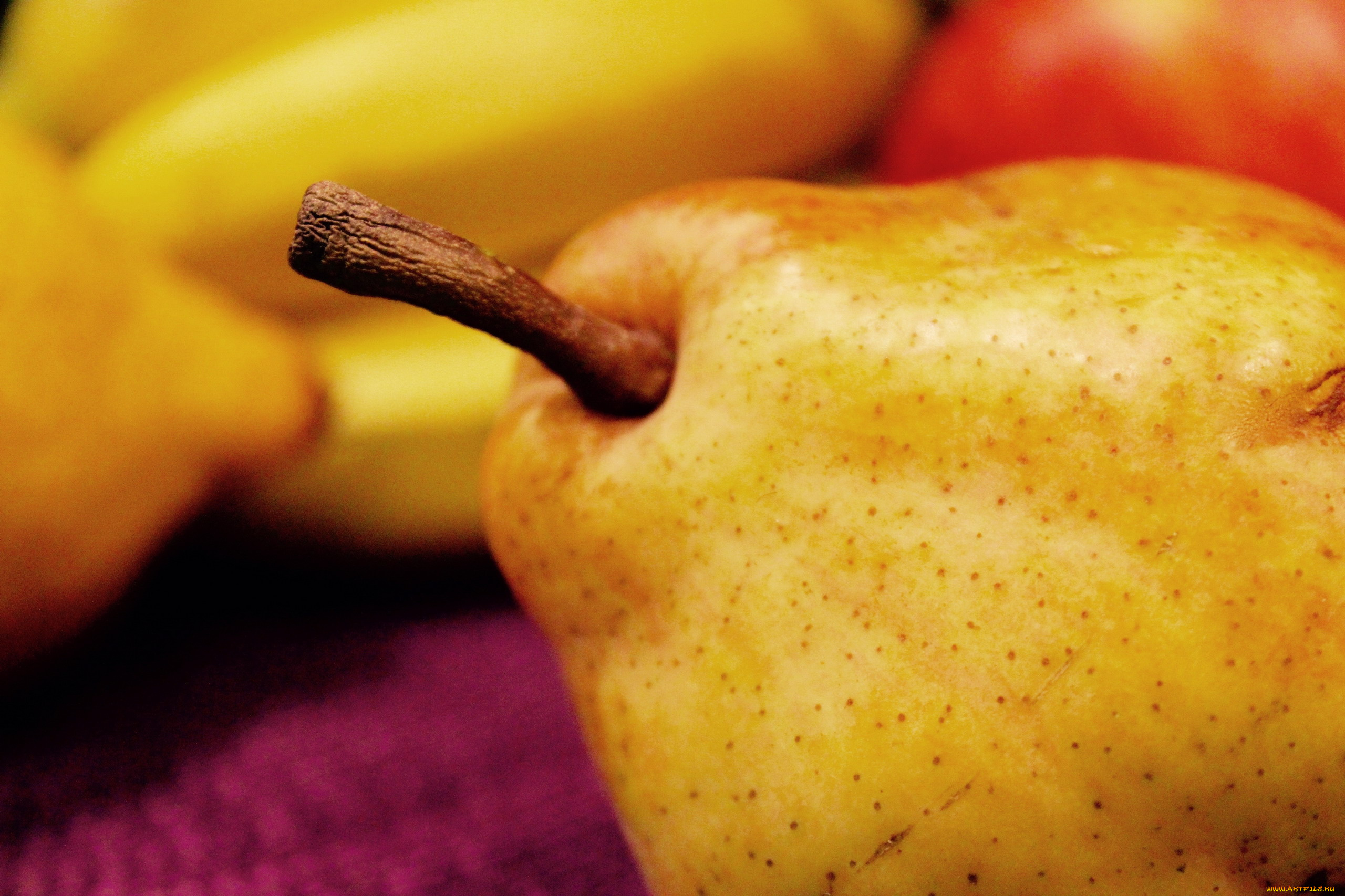 еда, груши, макро