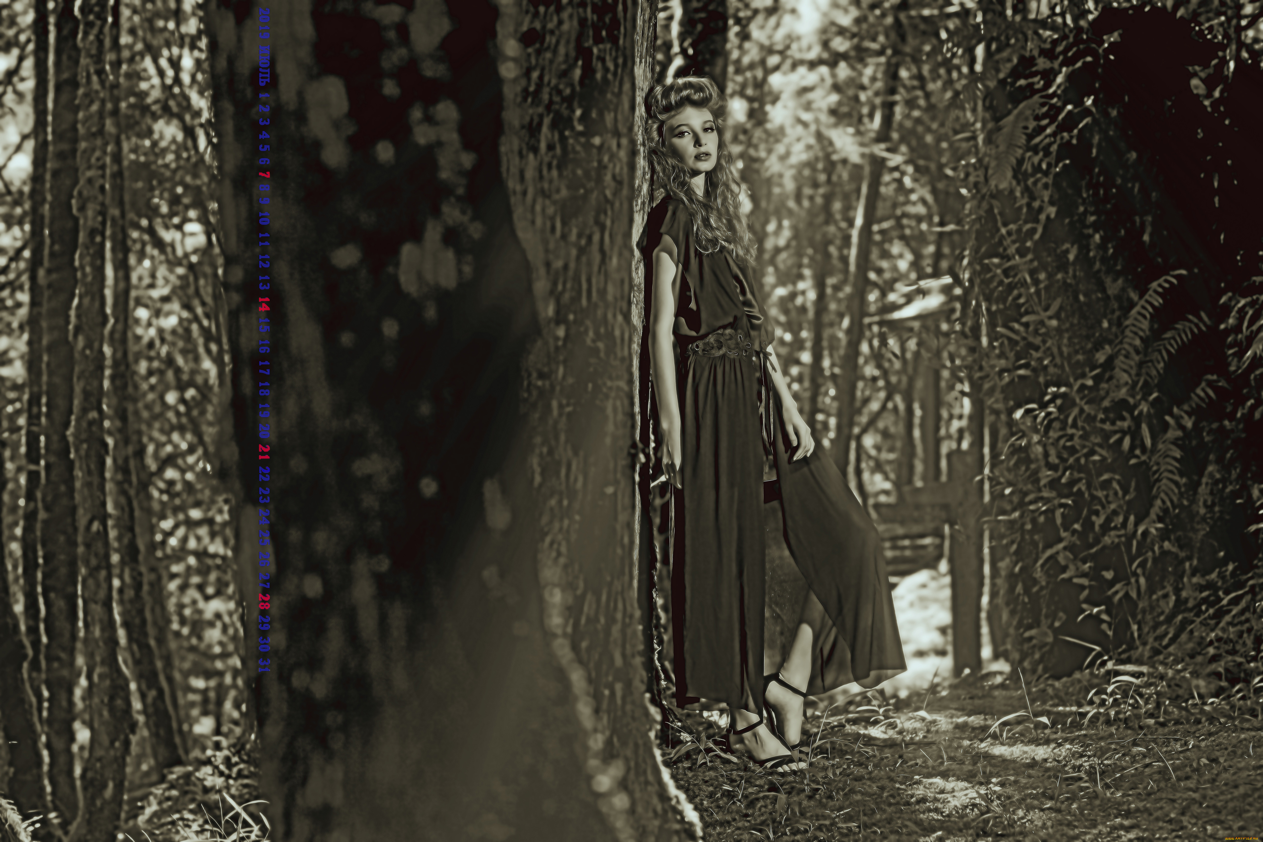 календари, компьютерный, дизайн, 2019, calendar, женщина, природа, дерево, девушка, растение