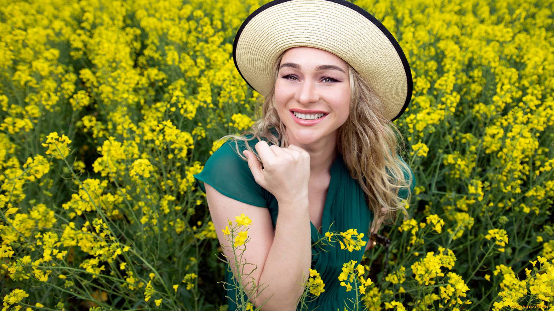 девушки, -, блондинки, , светловолосые, блондинка, шляпа, поле, рапс