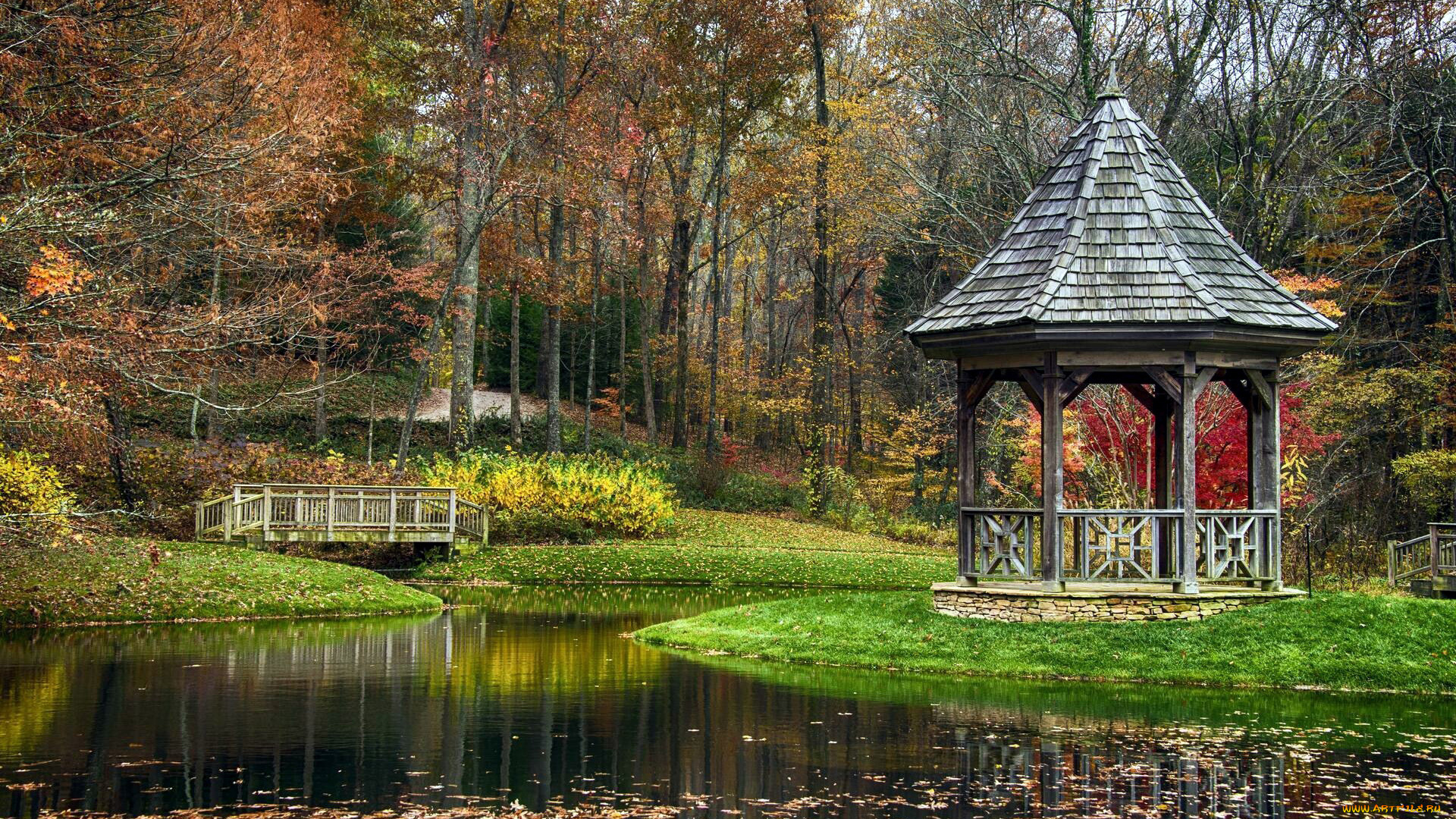 природа, парк, осень, листопад, водоем, беседка
