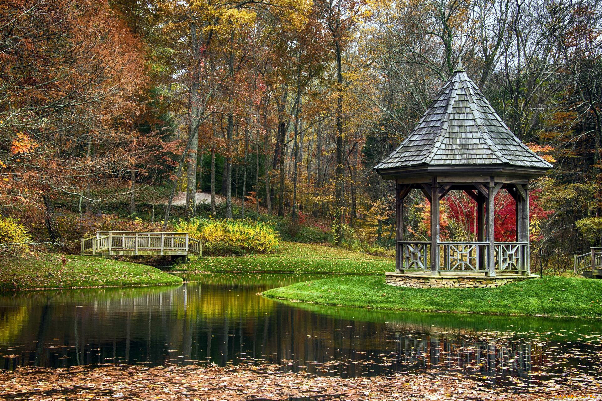 природа, парк, осень, листопад, водоем, беседка