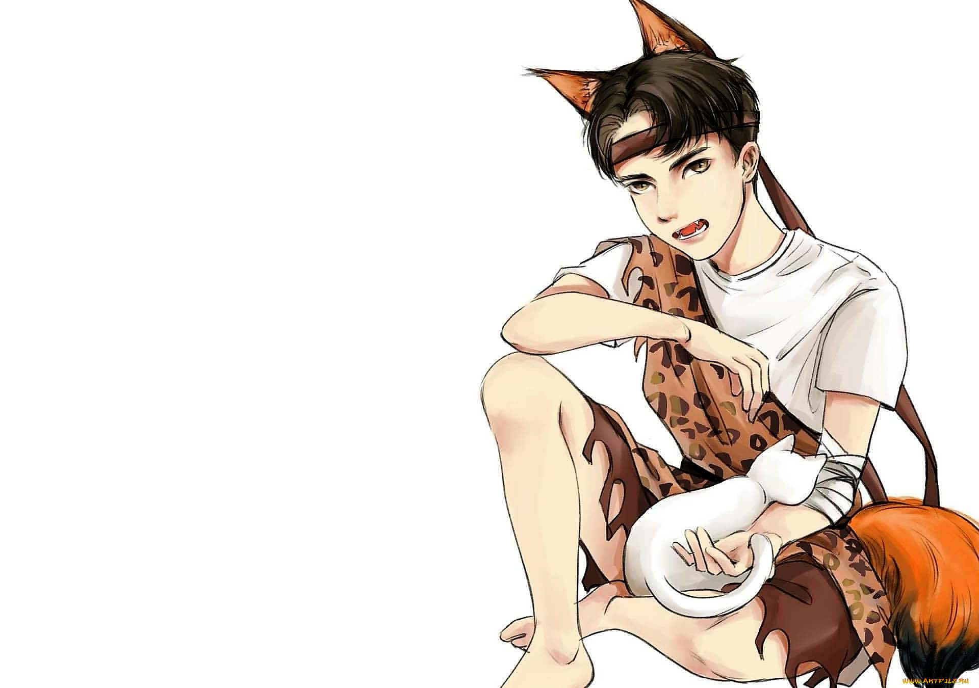 рисованное, люди, ван, ибо, кот, лис