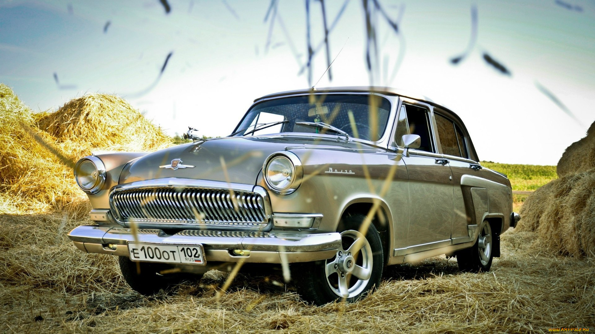 автомобили, газ, волга, серая, сено