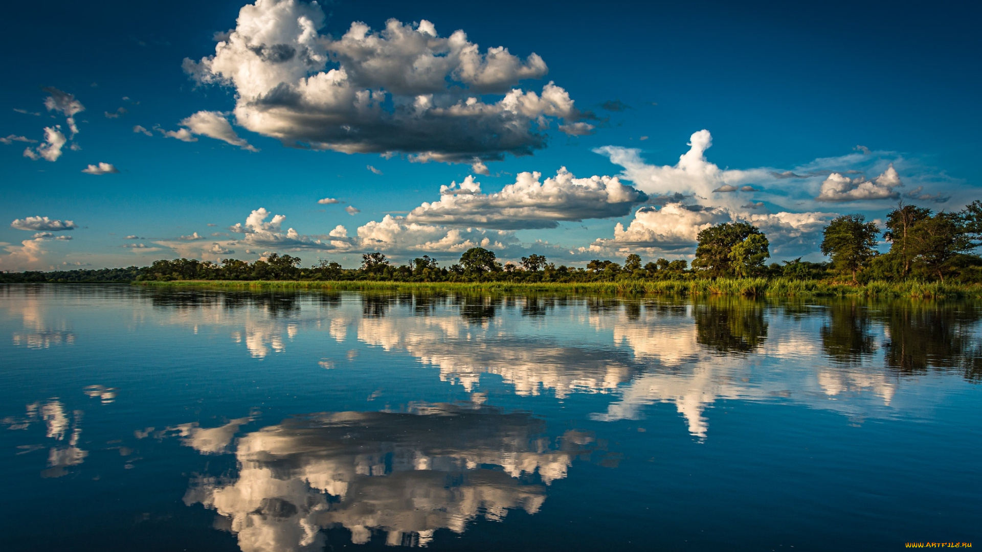 the, okavango, river, africa, природа, реки, озера, the, okavango, river