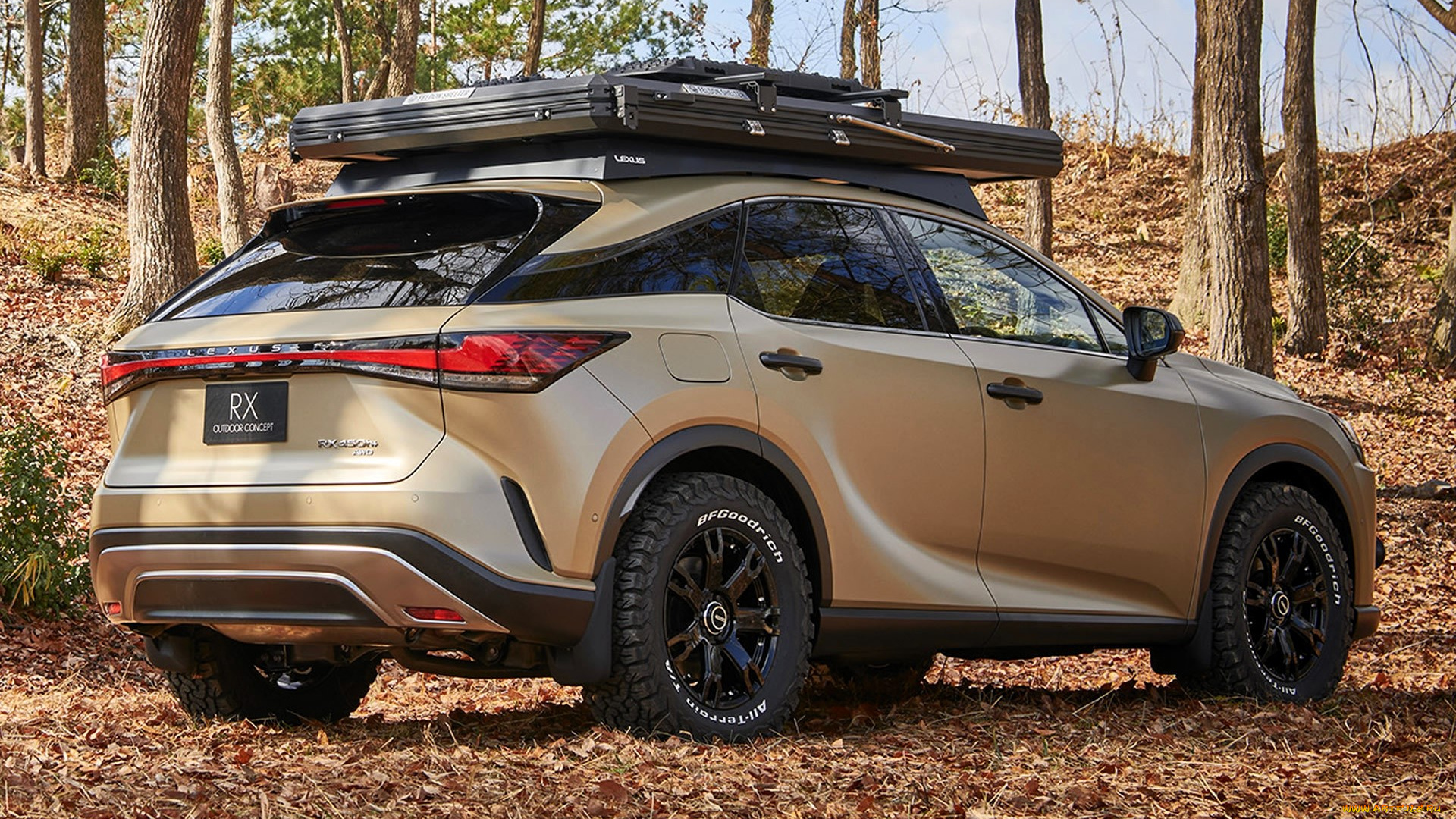 автомобили, lexus, бежевый, листья, склон, лес