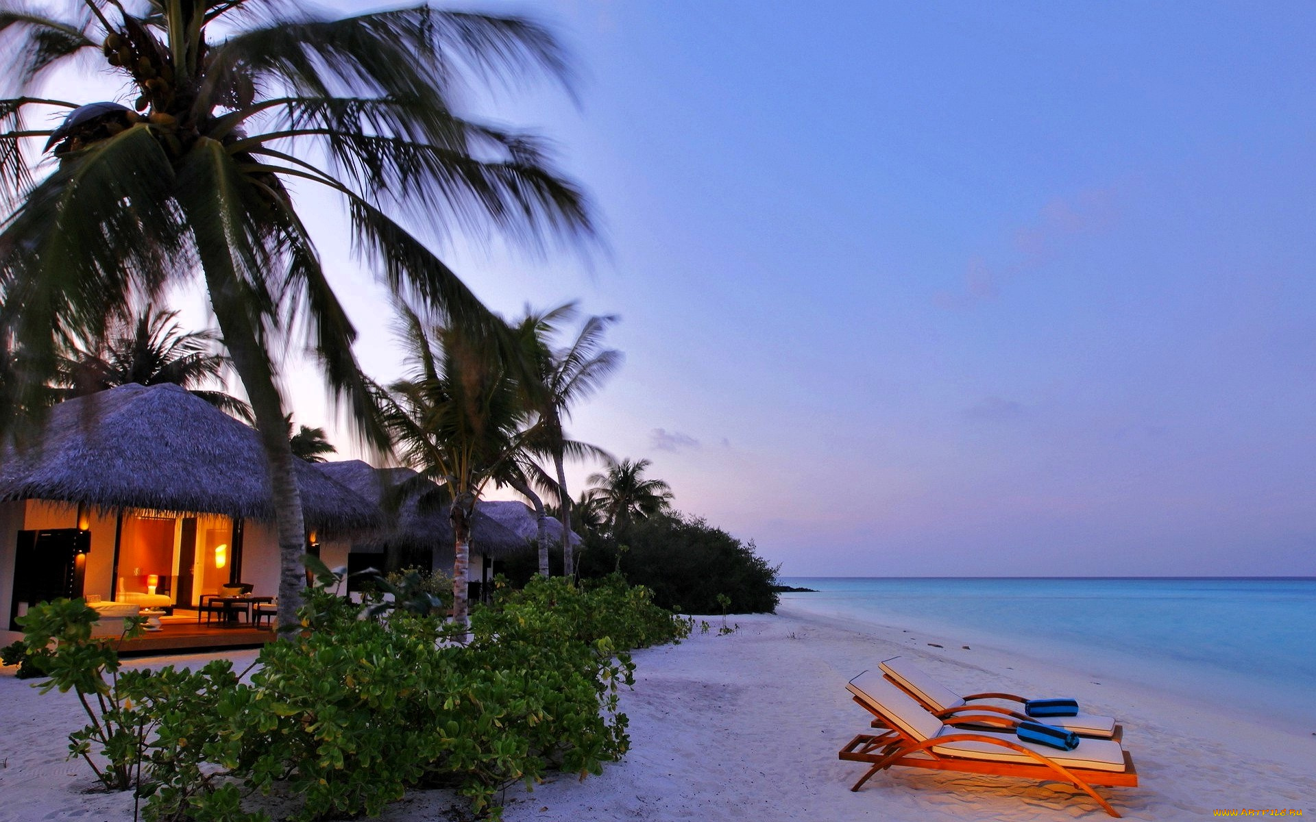 природа, тропики, пальмы, домики, бунгало, кусты, пляж, шезлонги, море