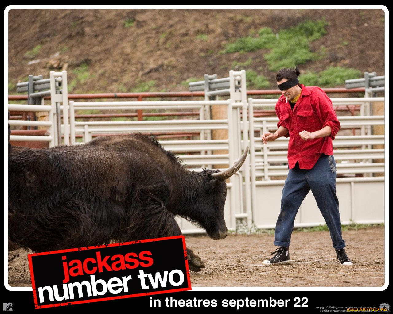 jackass, number, two, кино, фильмы