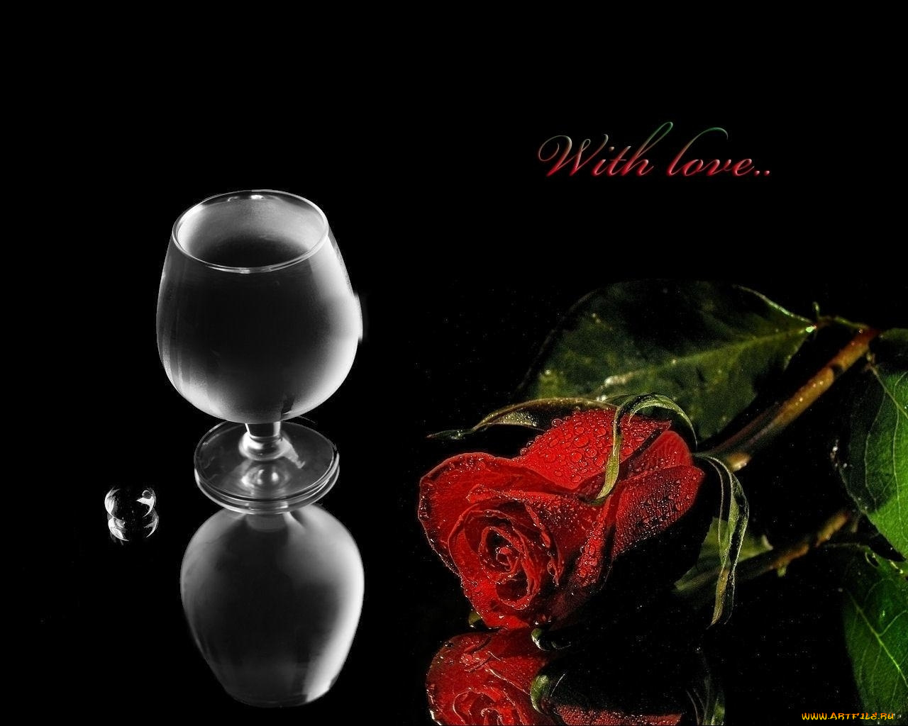 цветы, розы