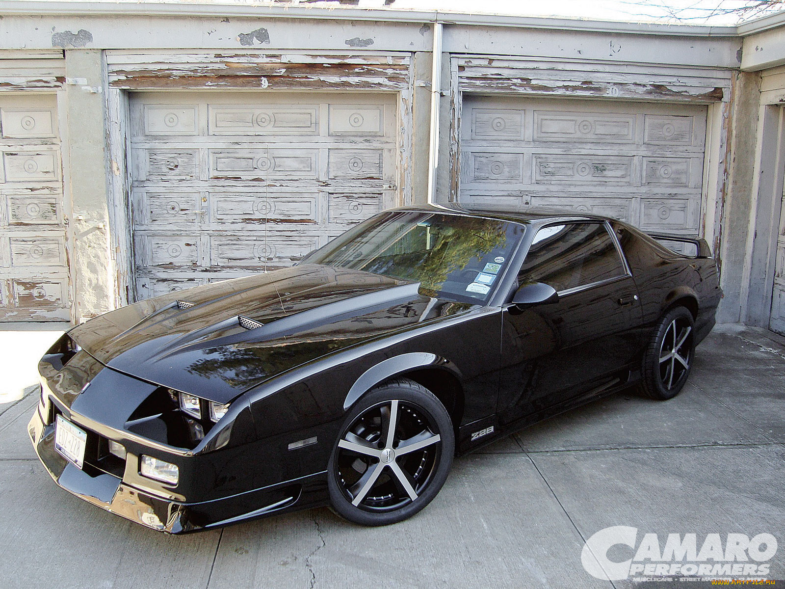 автомобили, camaro